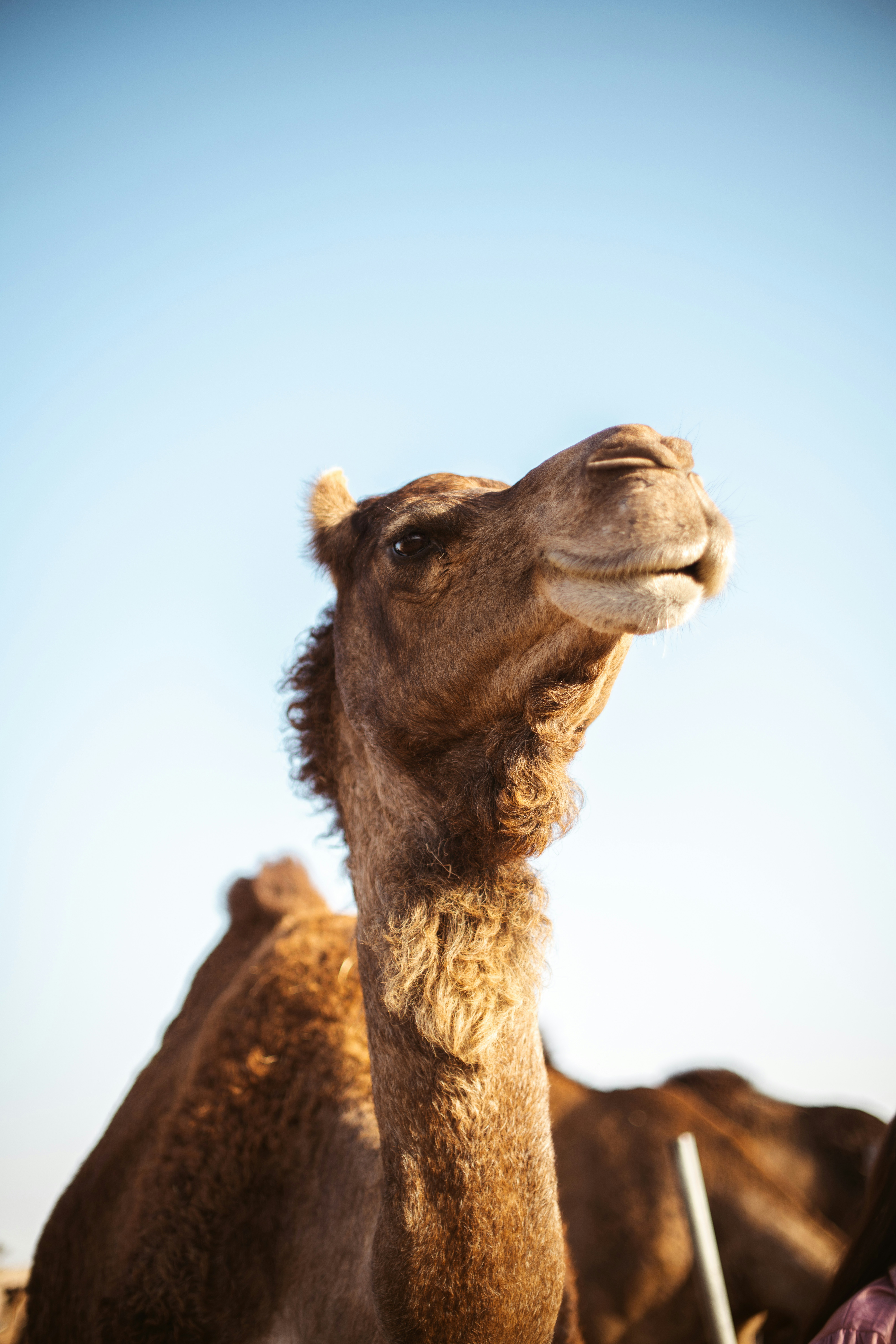 Photo by brunovdkraan