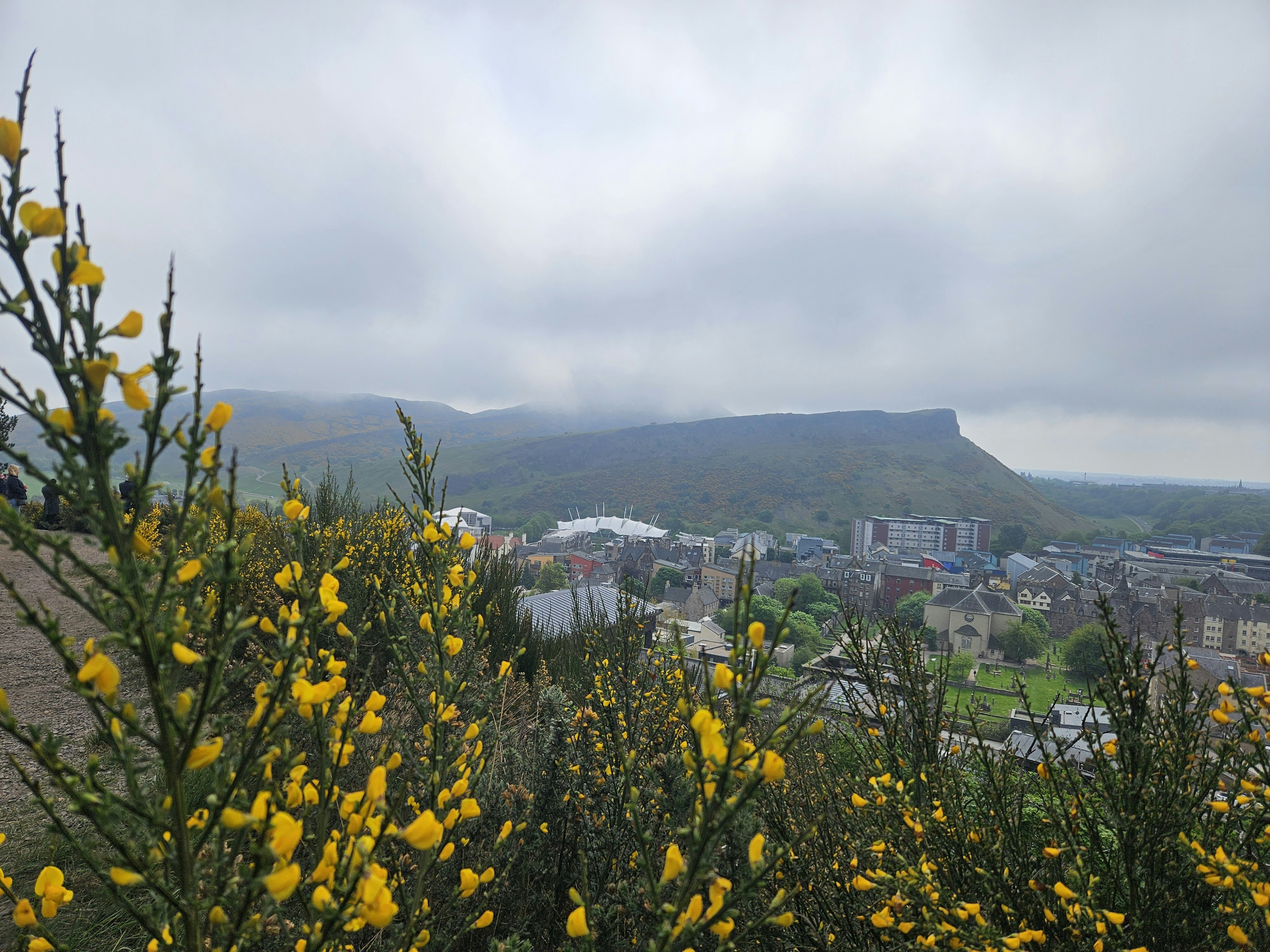 OLS Retreat: Debs’ Experience