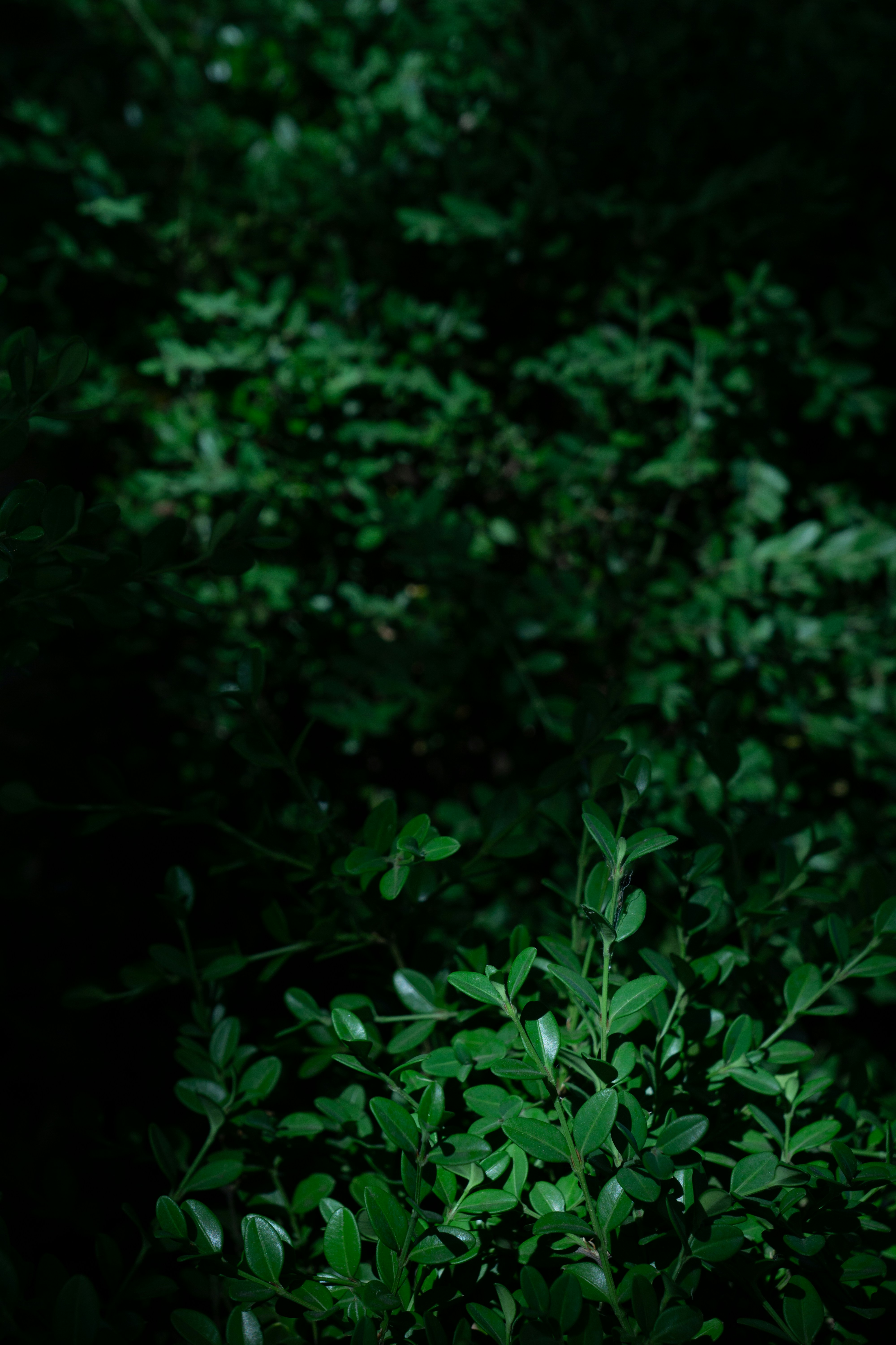 Photo by sunnydays22