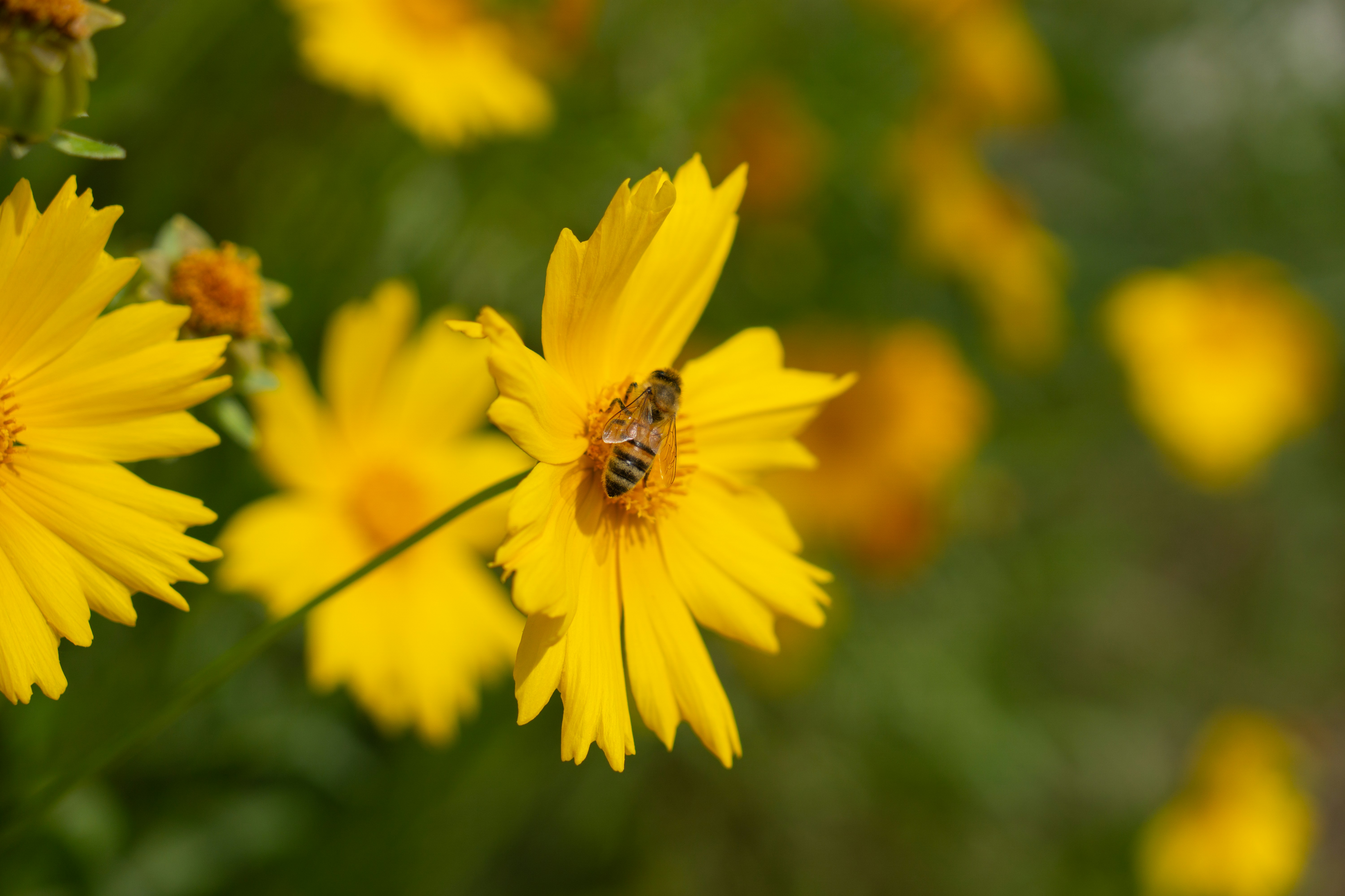 Photo by sunnydays22