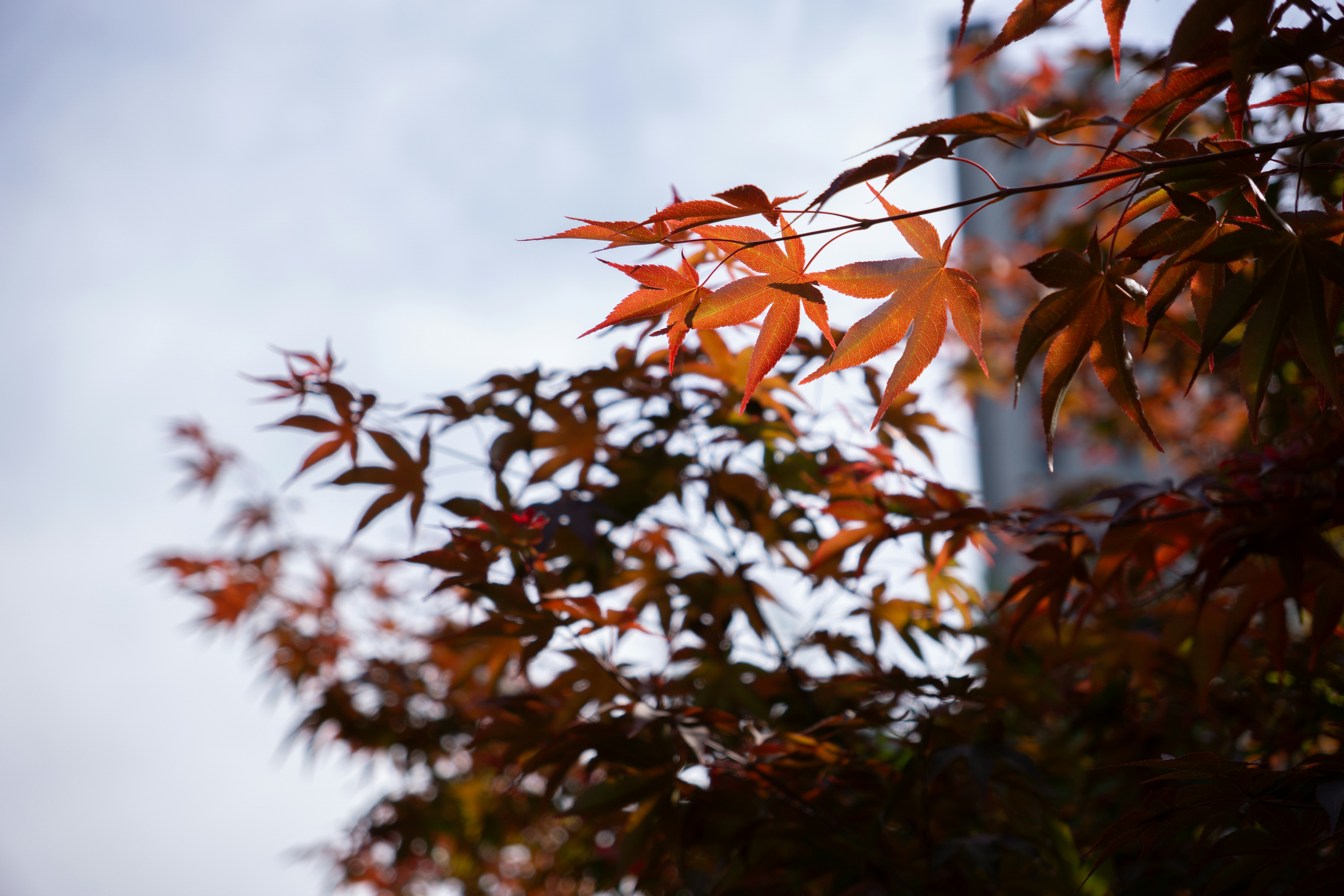 Photo by sunnydays22