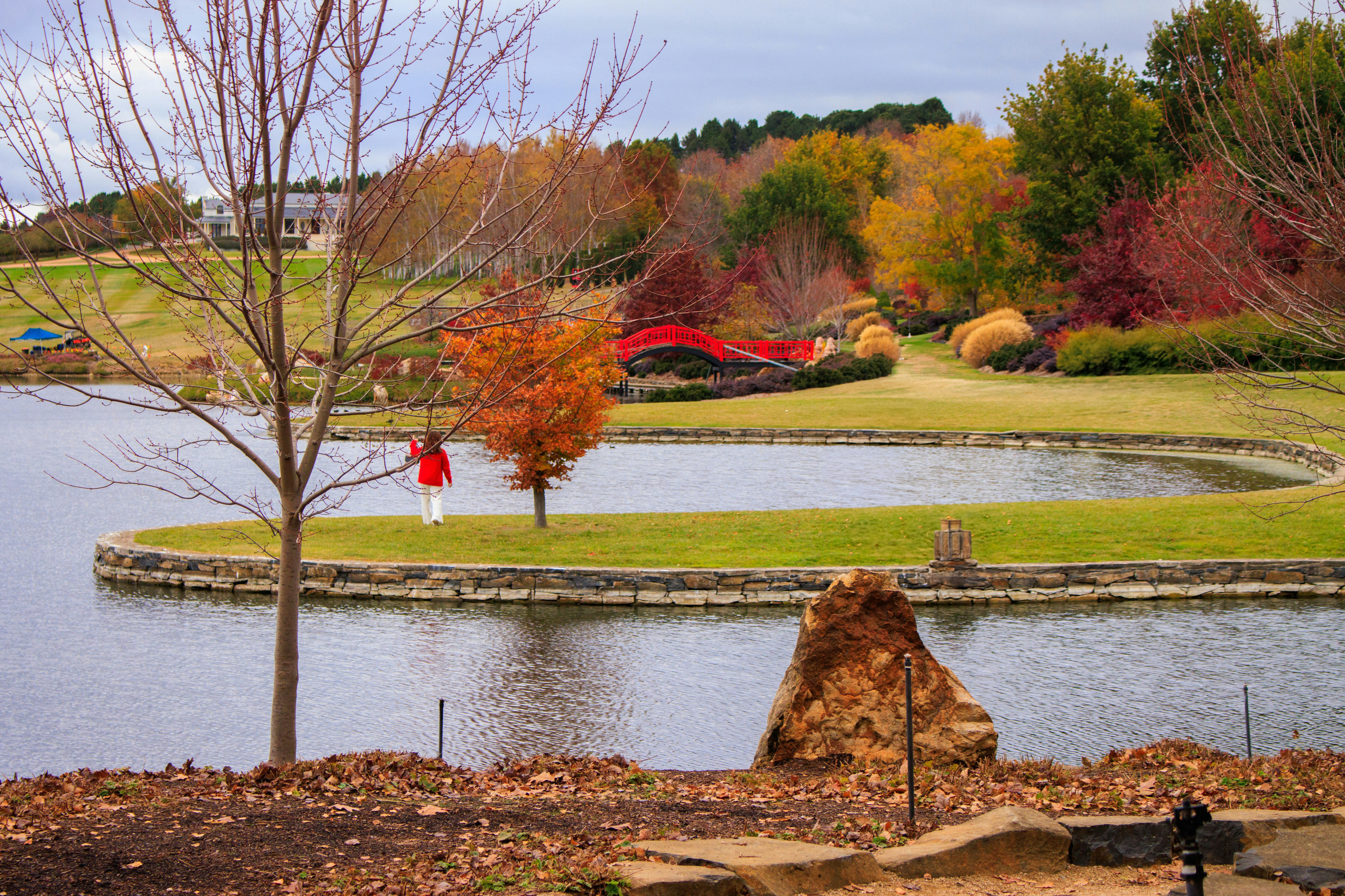 9 Best Snacks for Your Atlanta Golf Ride Adventures