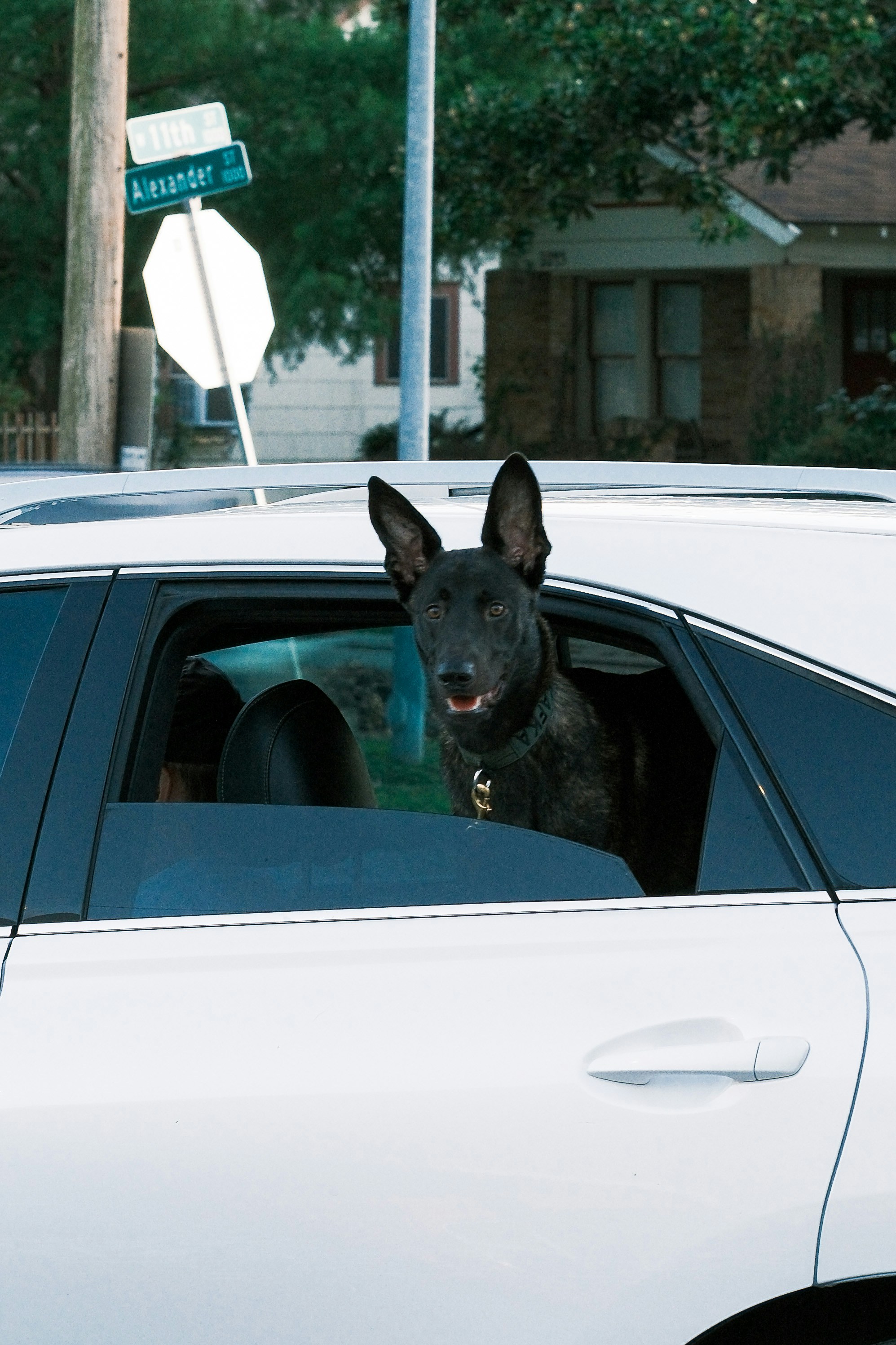 Photo by justalifein