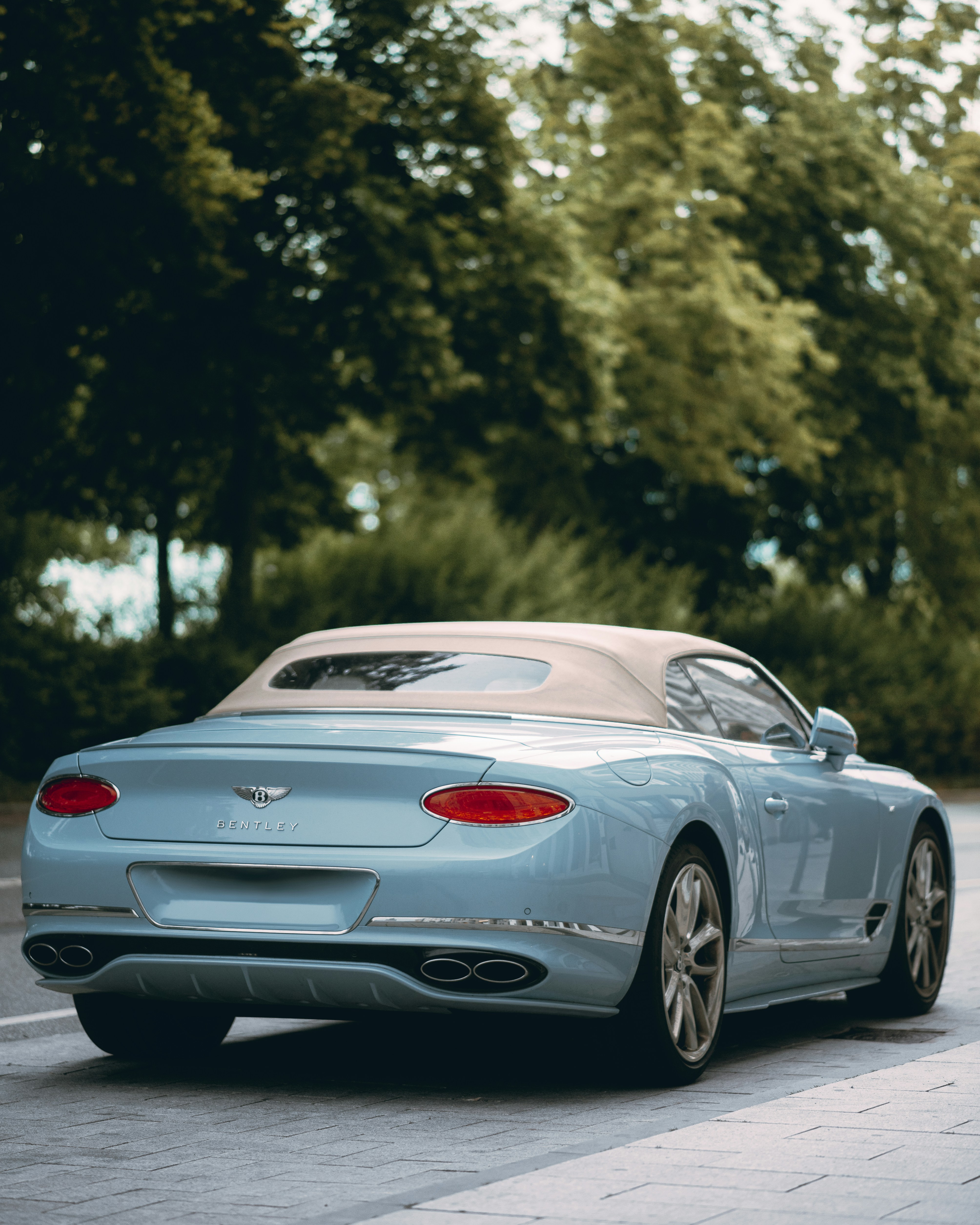 bentley continental gt wallpaper, wallpaper, Bentley Continental GT Le Mans Collection 3