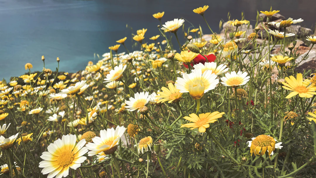 Seasons in eastern Crete