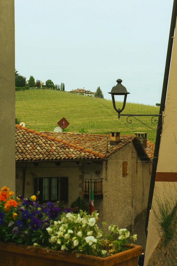 Piedmont wine country