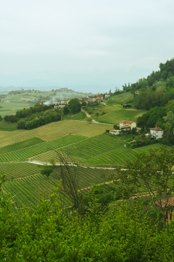 Piëmont