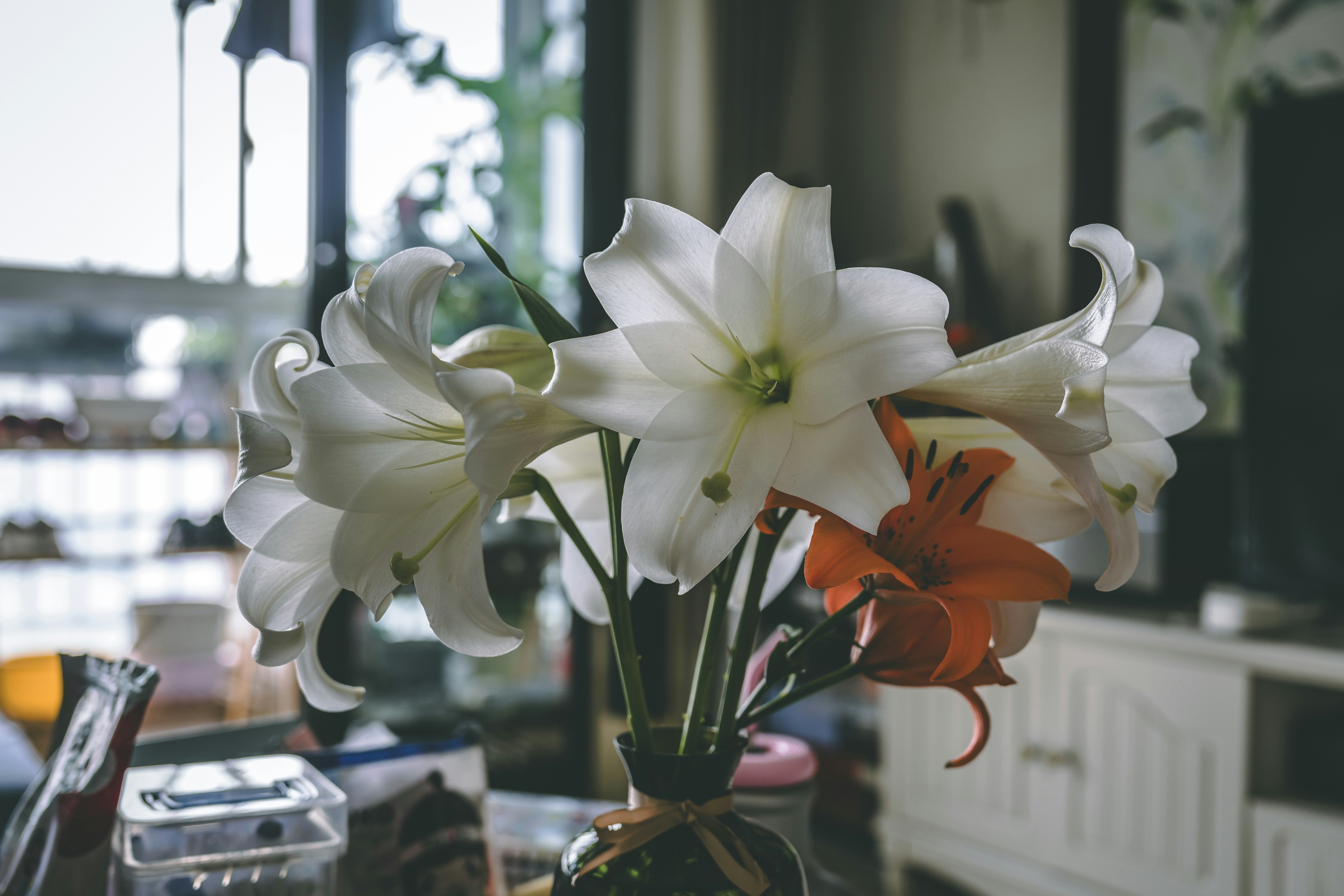 White lilies in a vase, indoors.