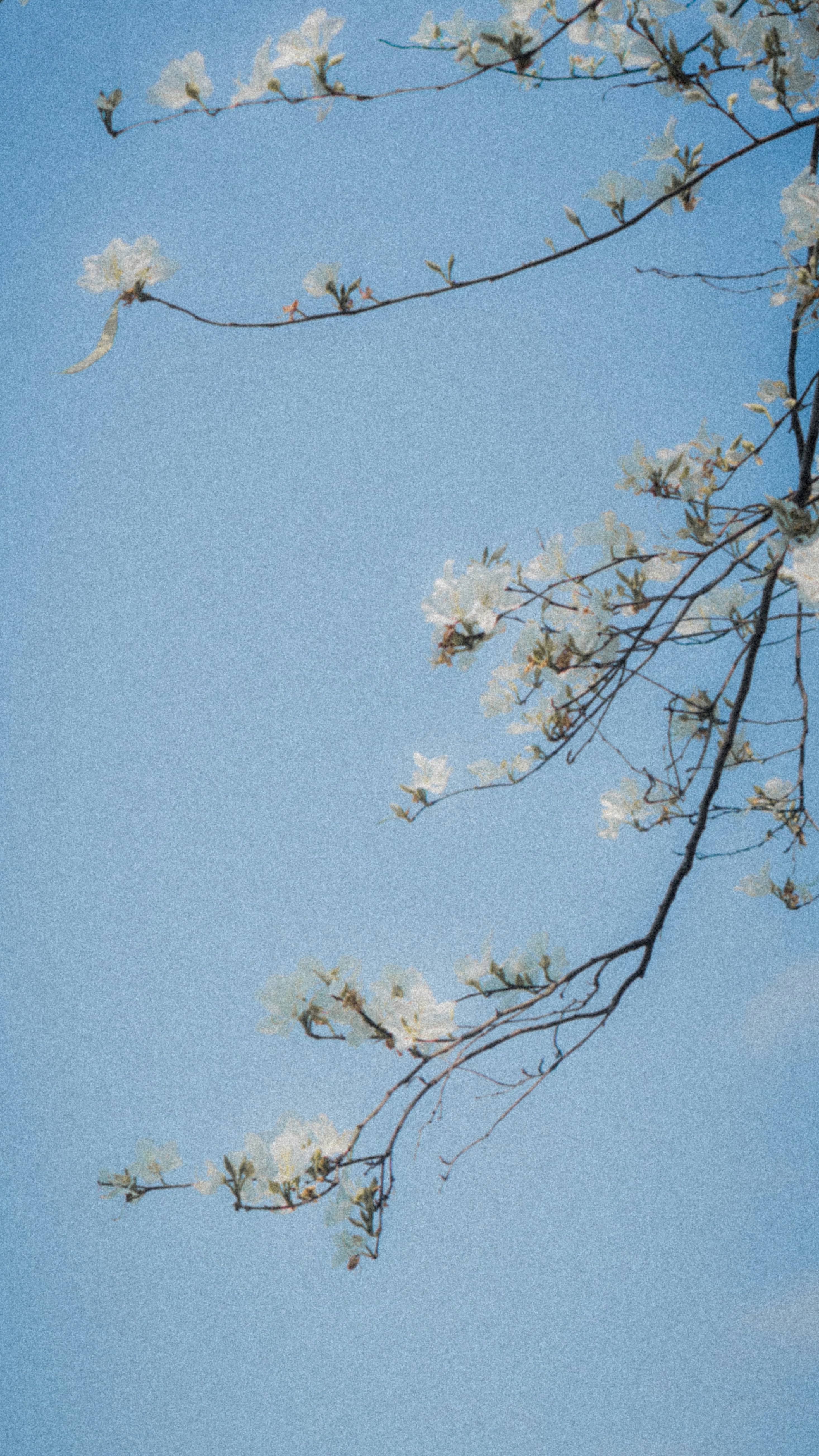 Photo by operationskyshield