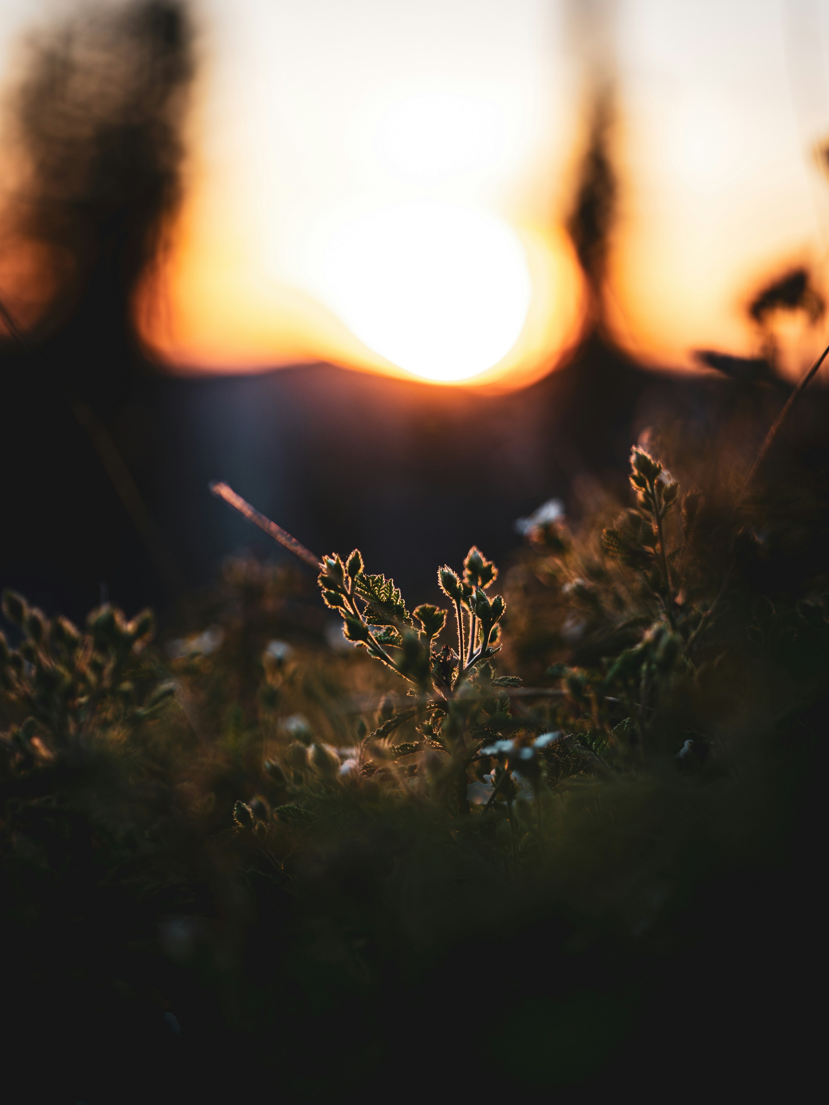 Photo by giginkrishnan