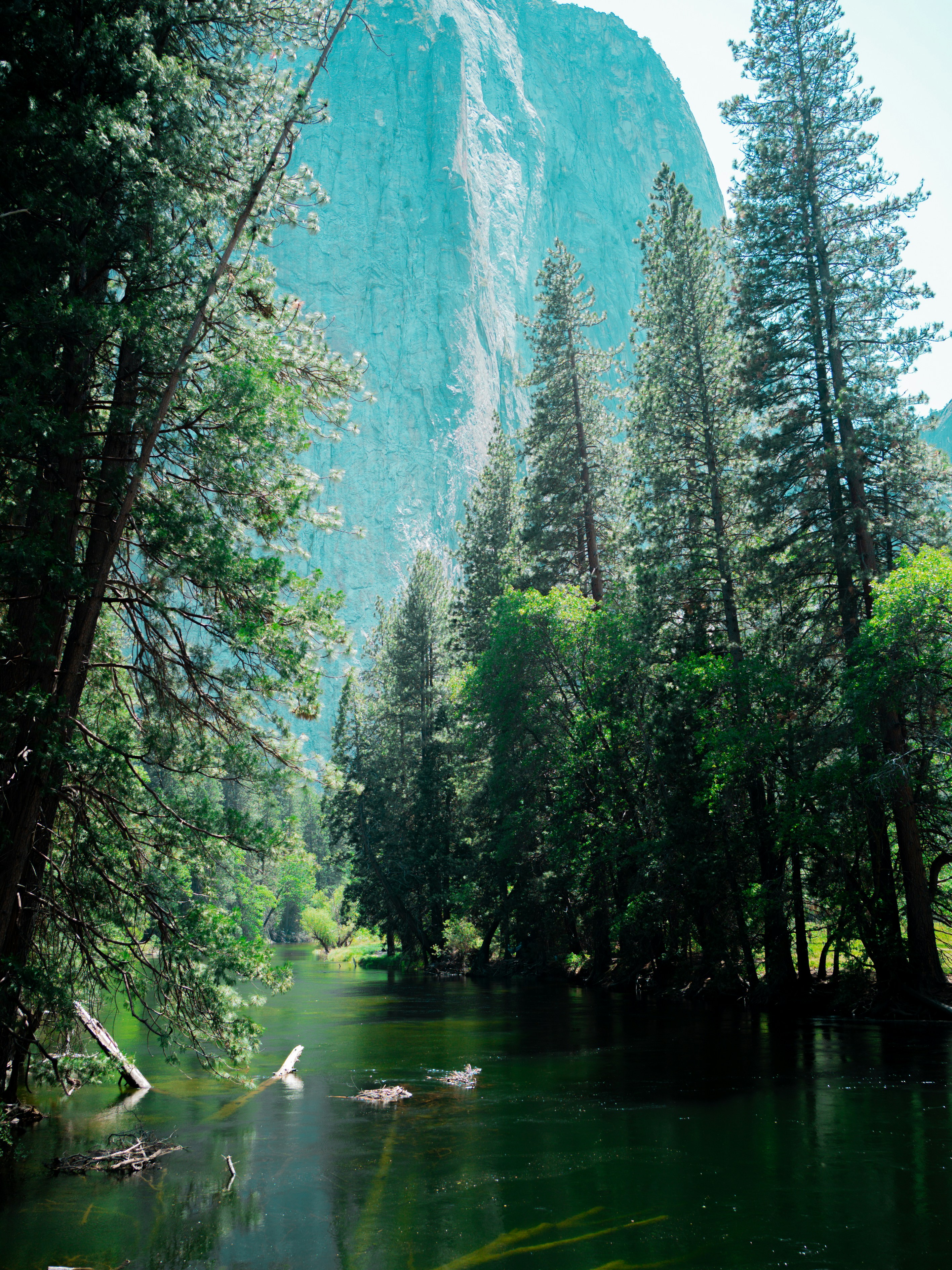Trees surround a river with a mountain in the background.