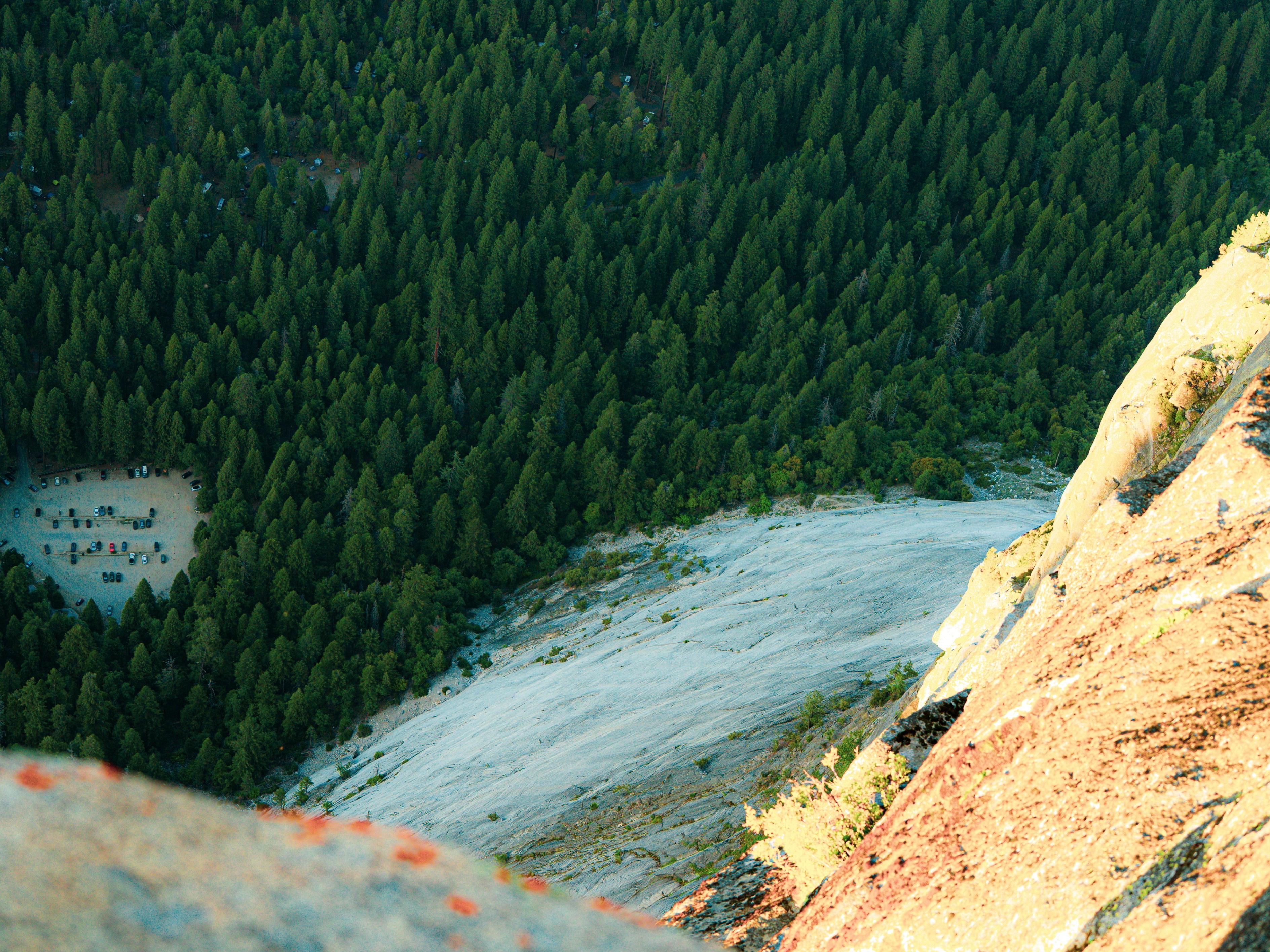 A forest meets a rocky cliffside below.
