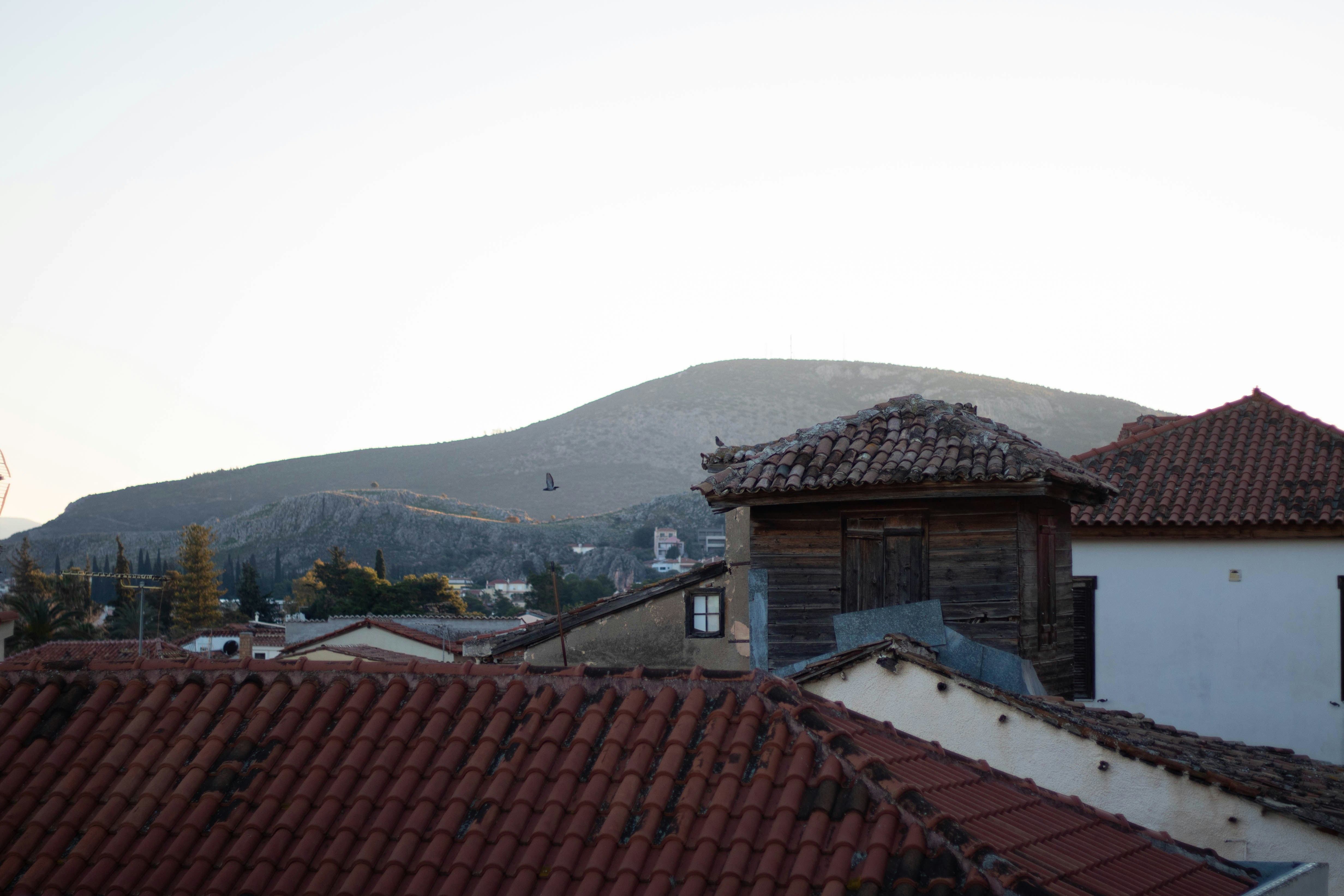 Photo by steve_sullivant