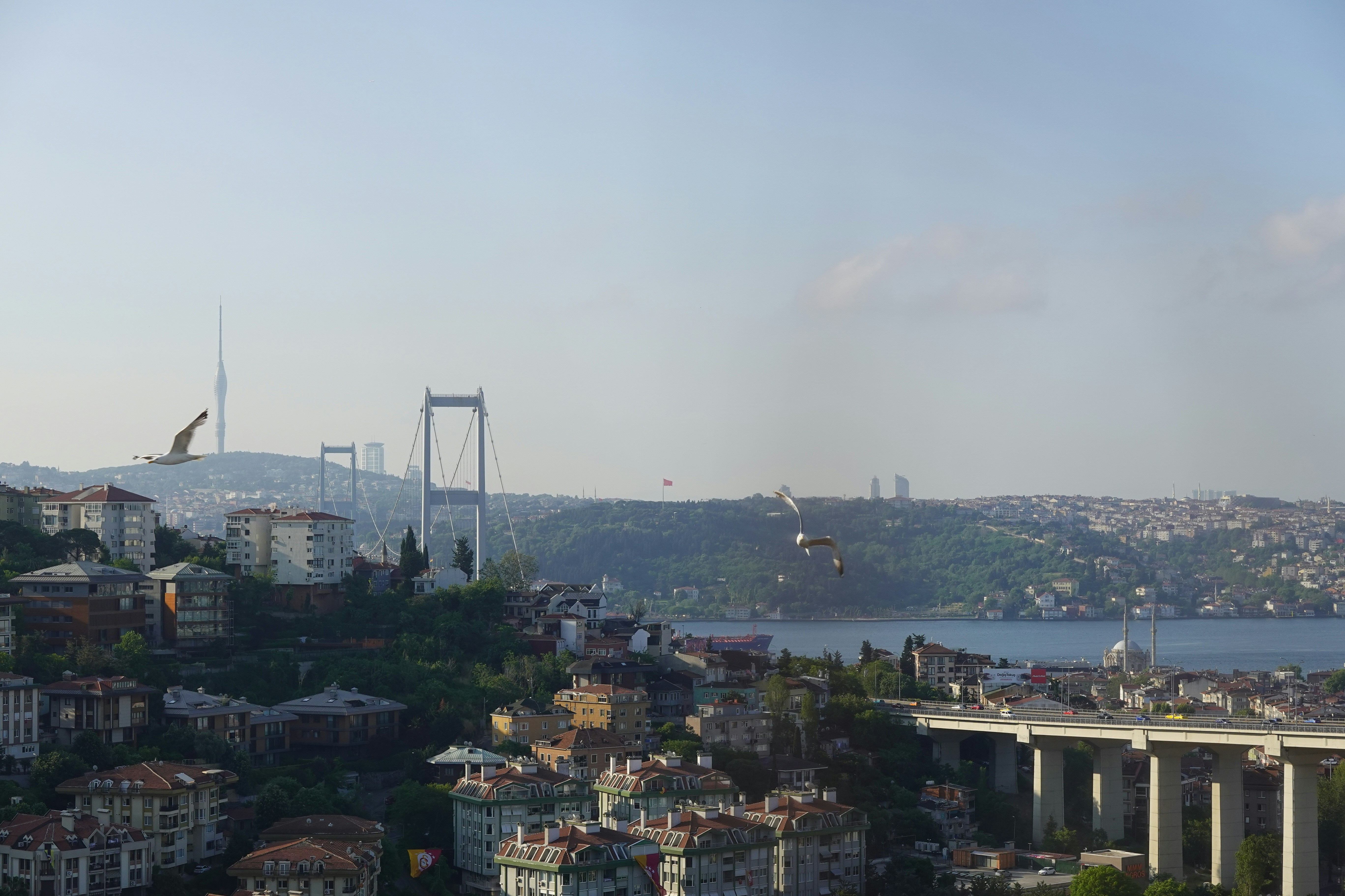 Photo by altotorkulova