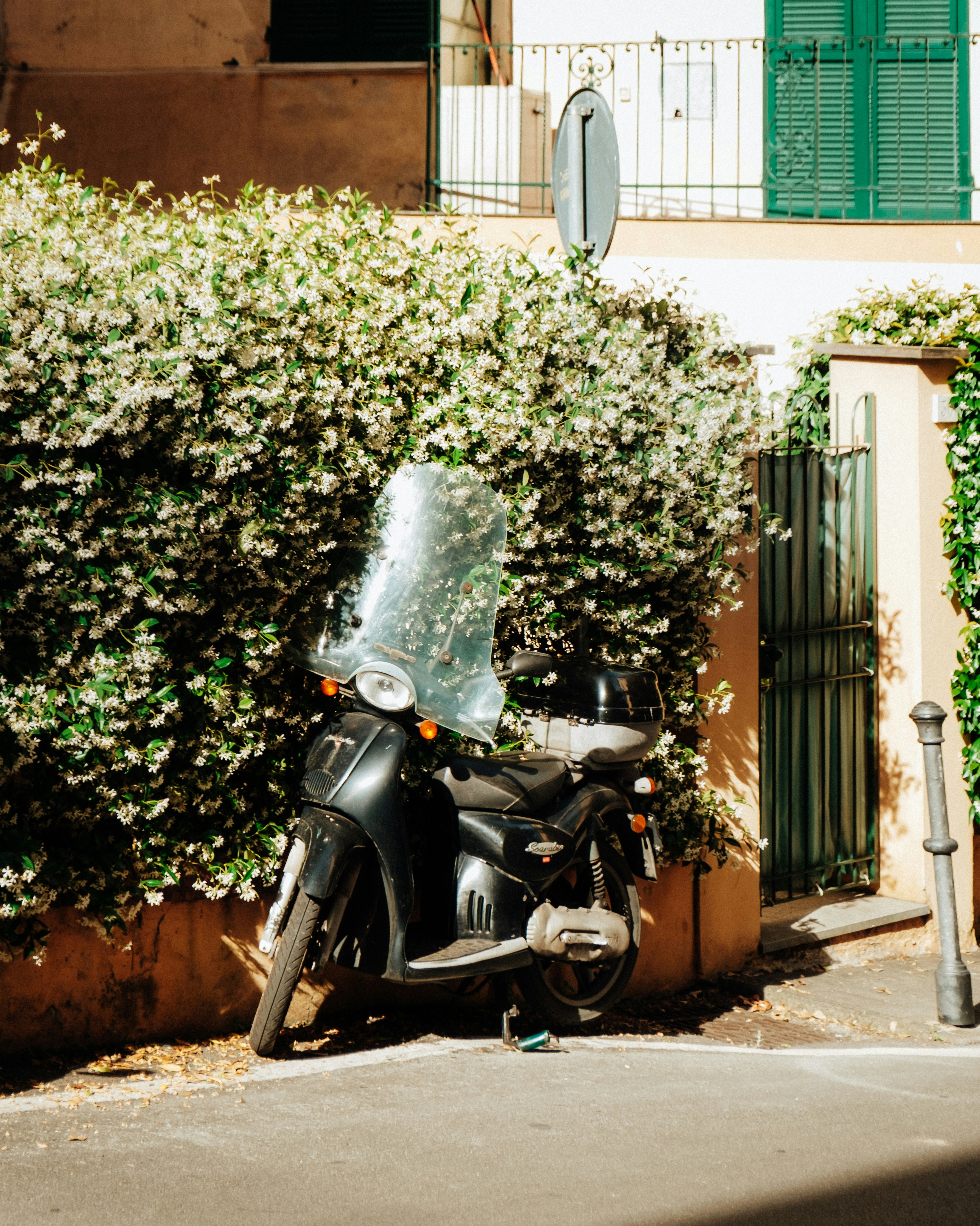 Un scooter se sienta contra un seto en flor.