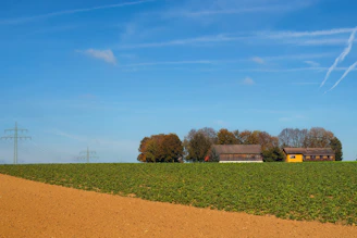 Farm buildings sit on a green field.