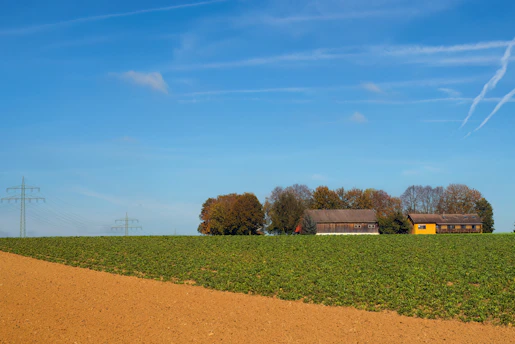 Farm buildings sit on a green field.