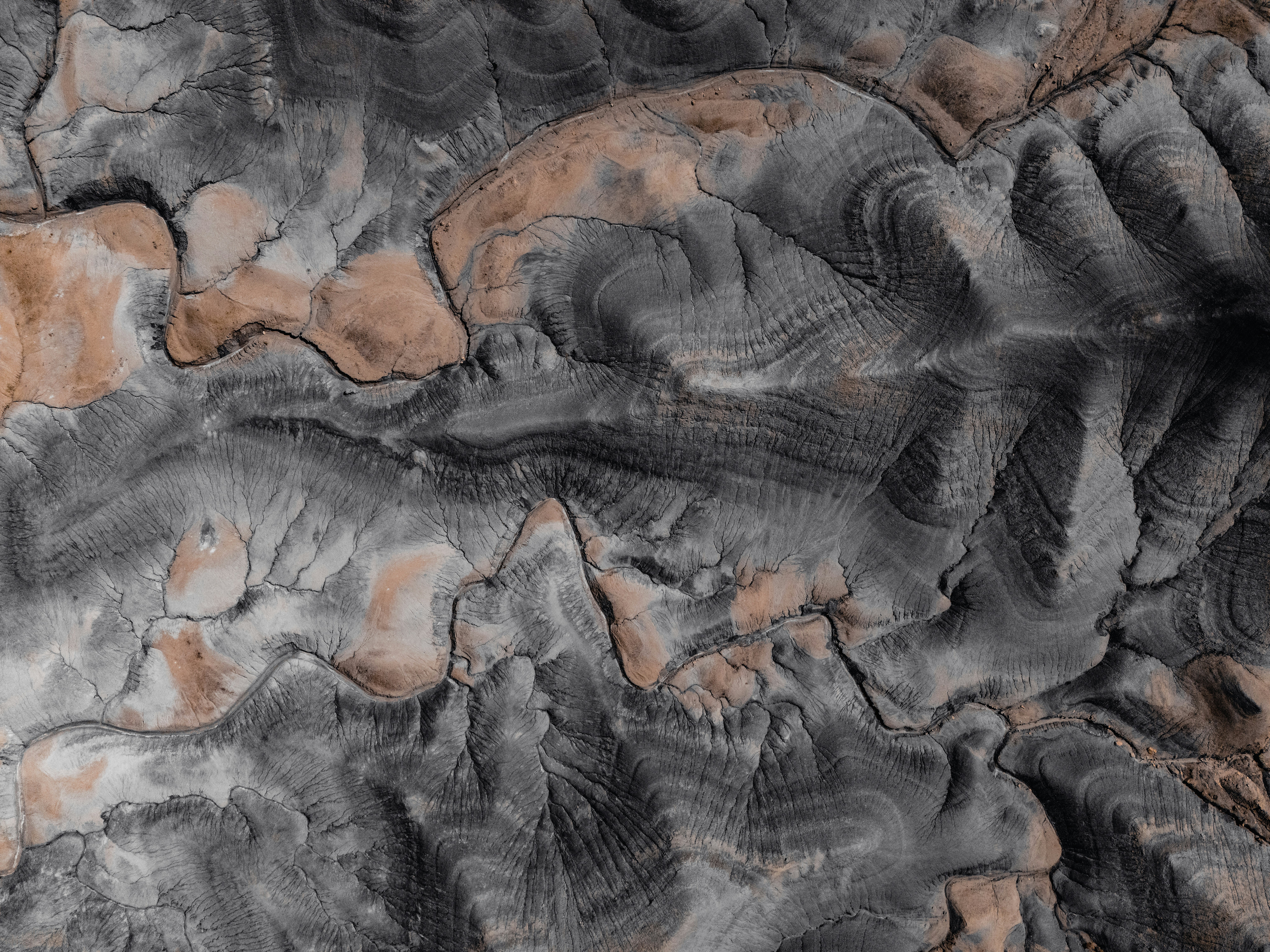 The Role Of The Rheumatology Wellness Center In Handling Autoimmune Disorders