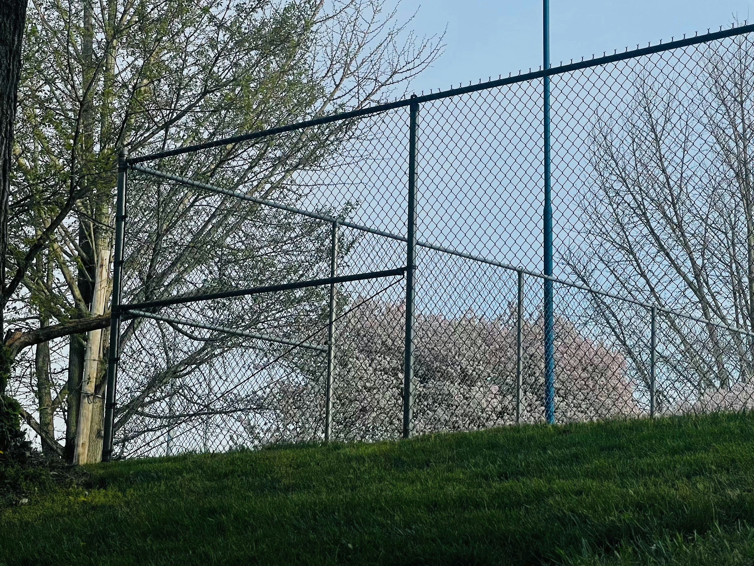 woman wearing yellow long-sleeved dress under white clouds and blue sky during daytime