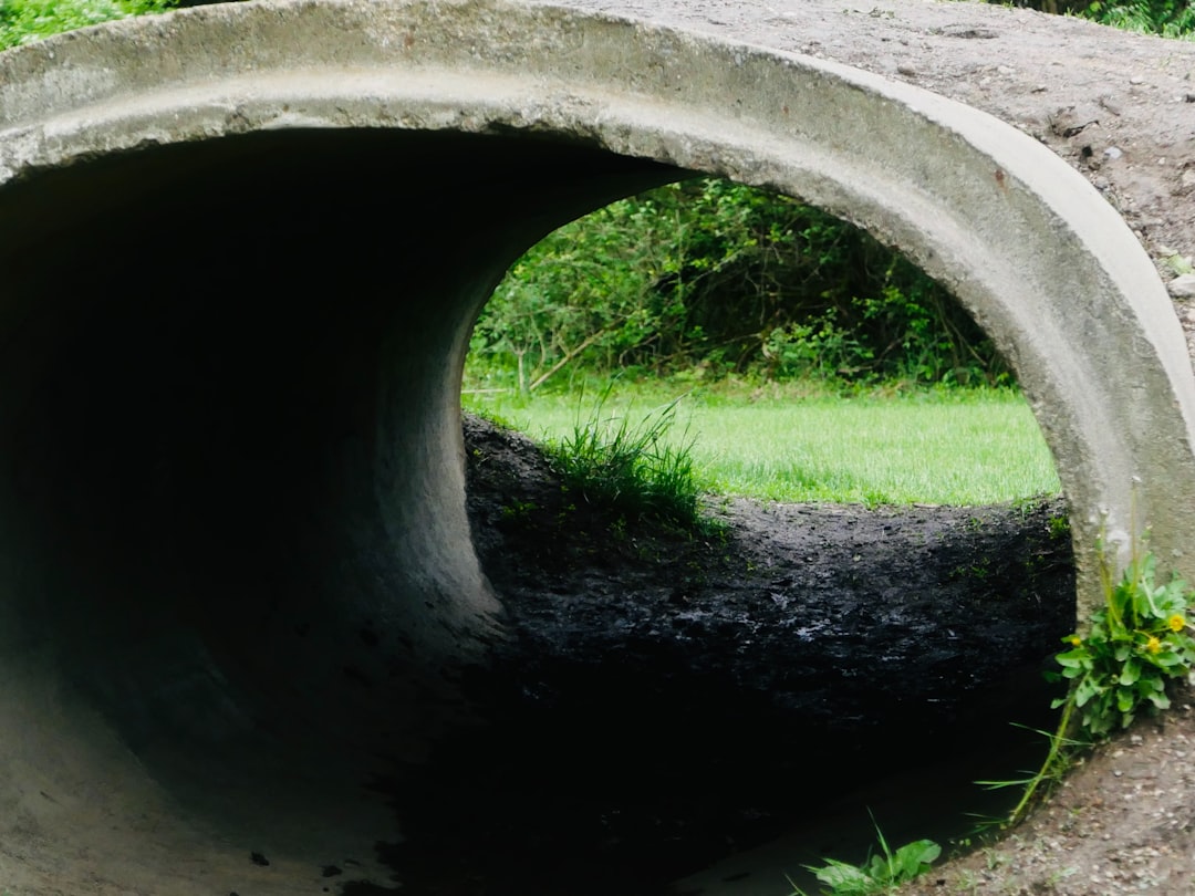 A tunnel leads to a bright green landscape.,