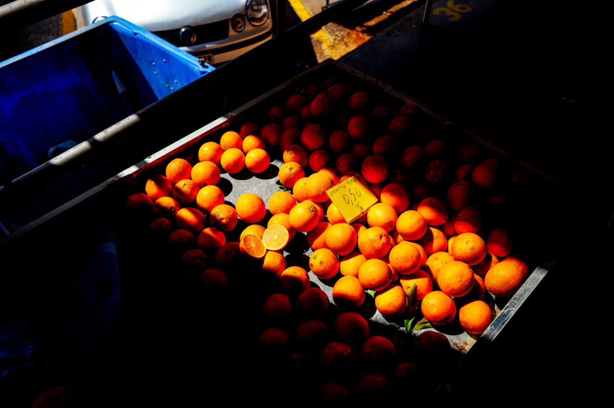 Oranges in a bin in sunlight