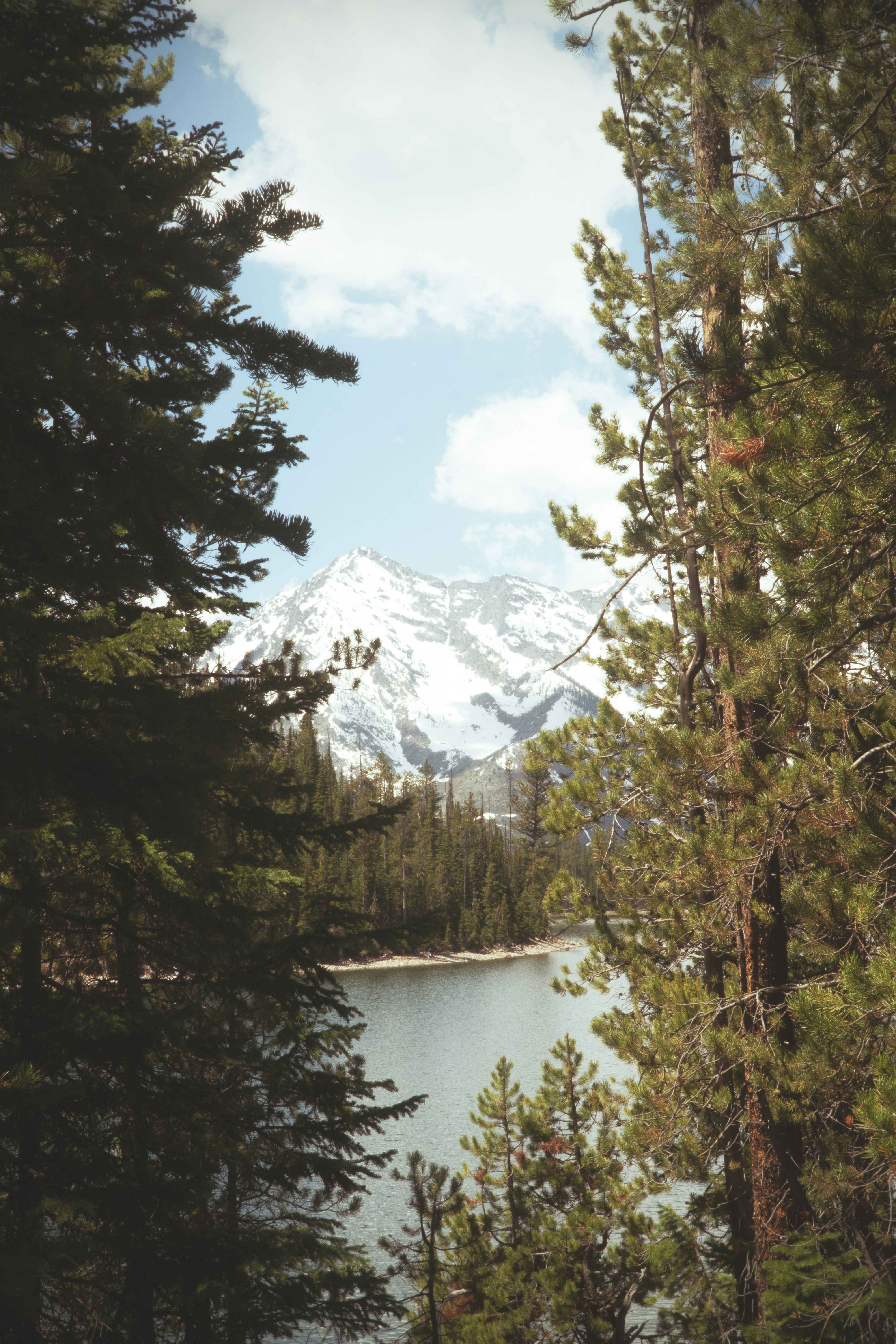 Photo by jewadalnabi