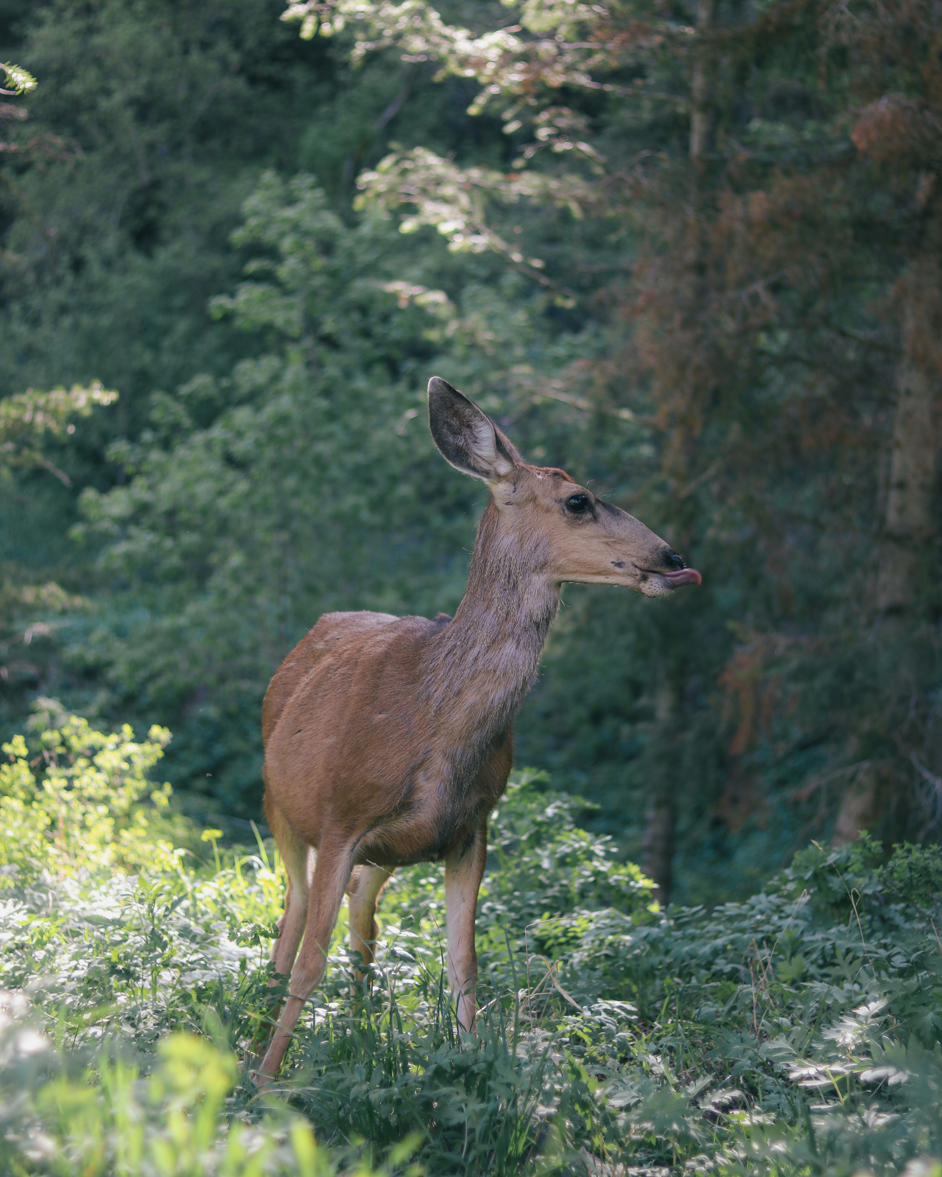 Photo by heberdavisphotography