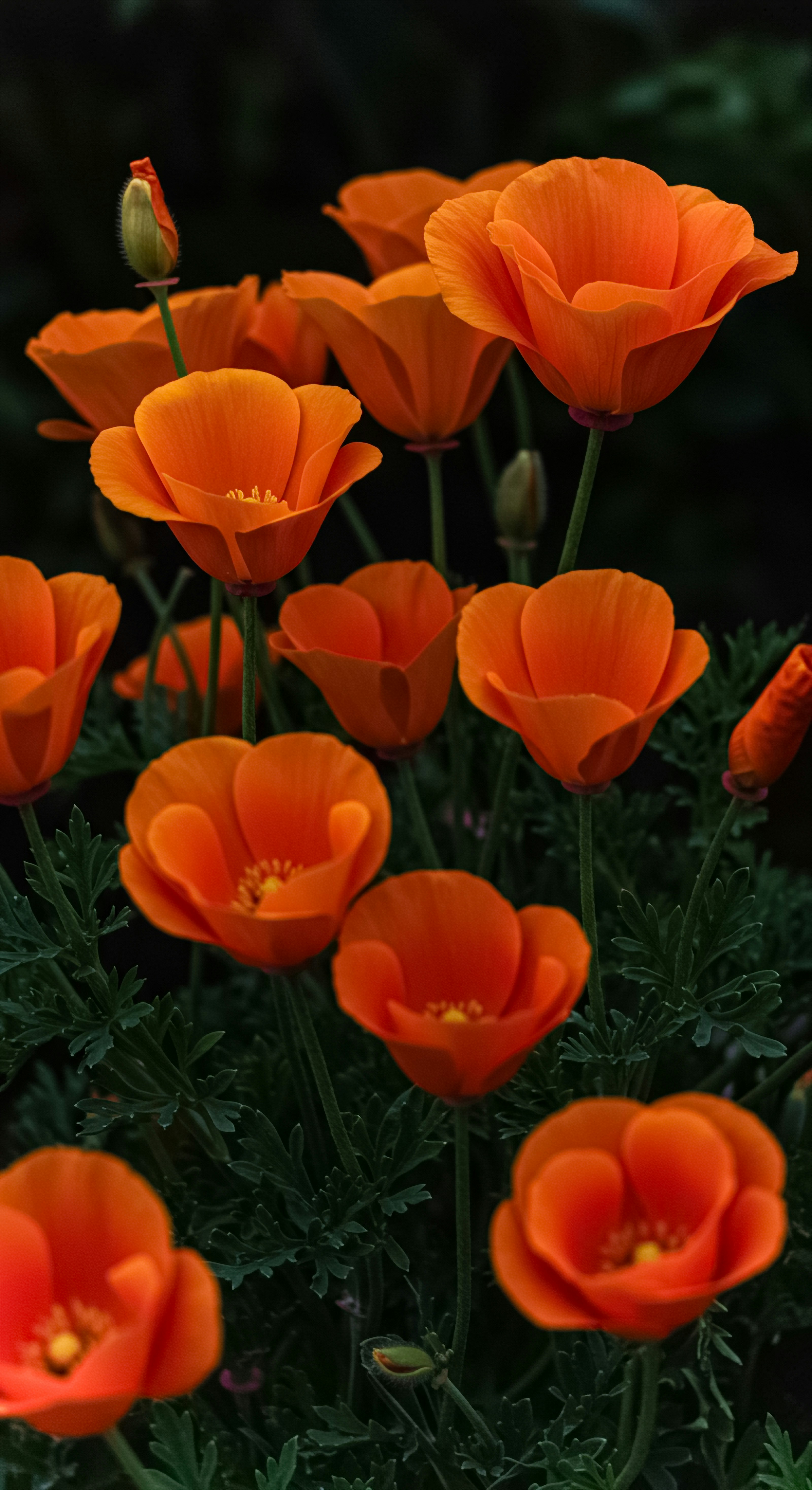 Photo by mdarifhossen