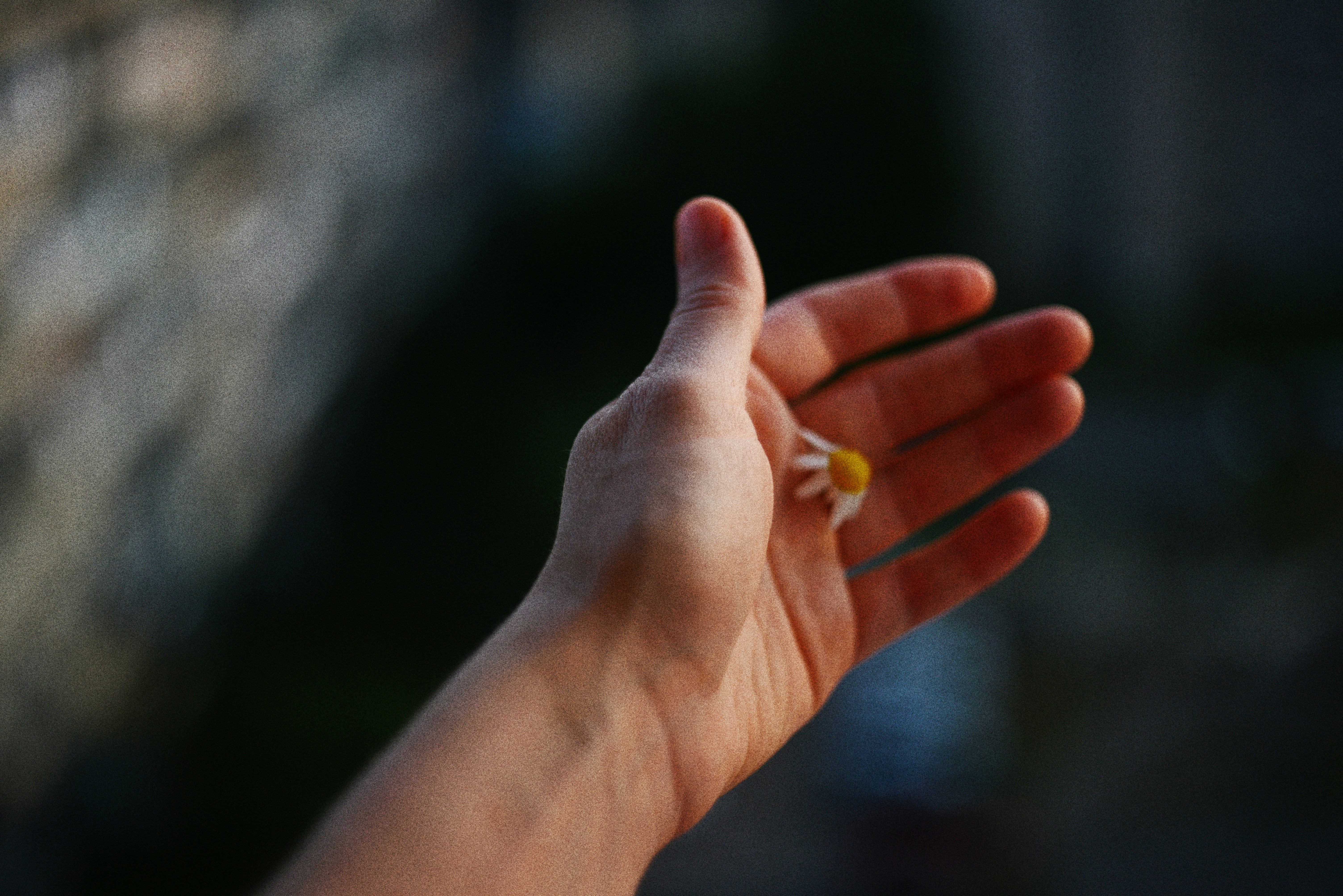 12 Facts About Trust Door Installers To Make You Think About The Other People