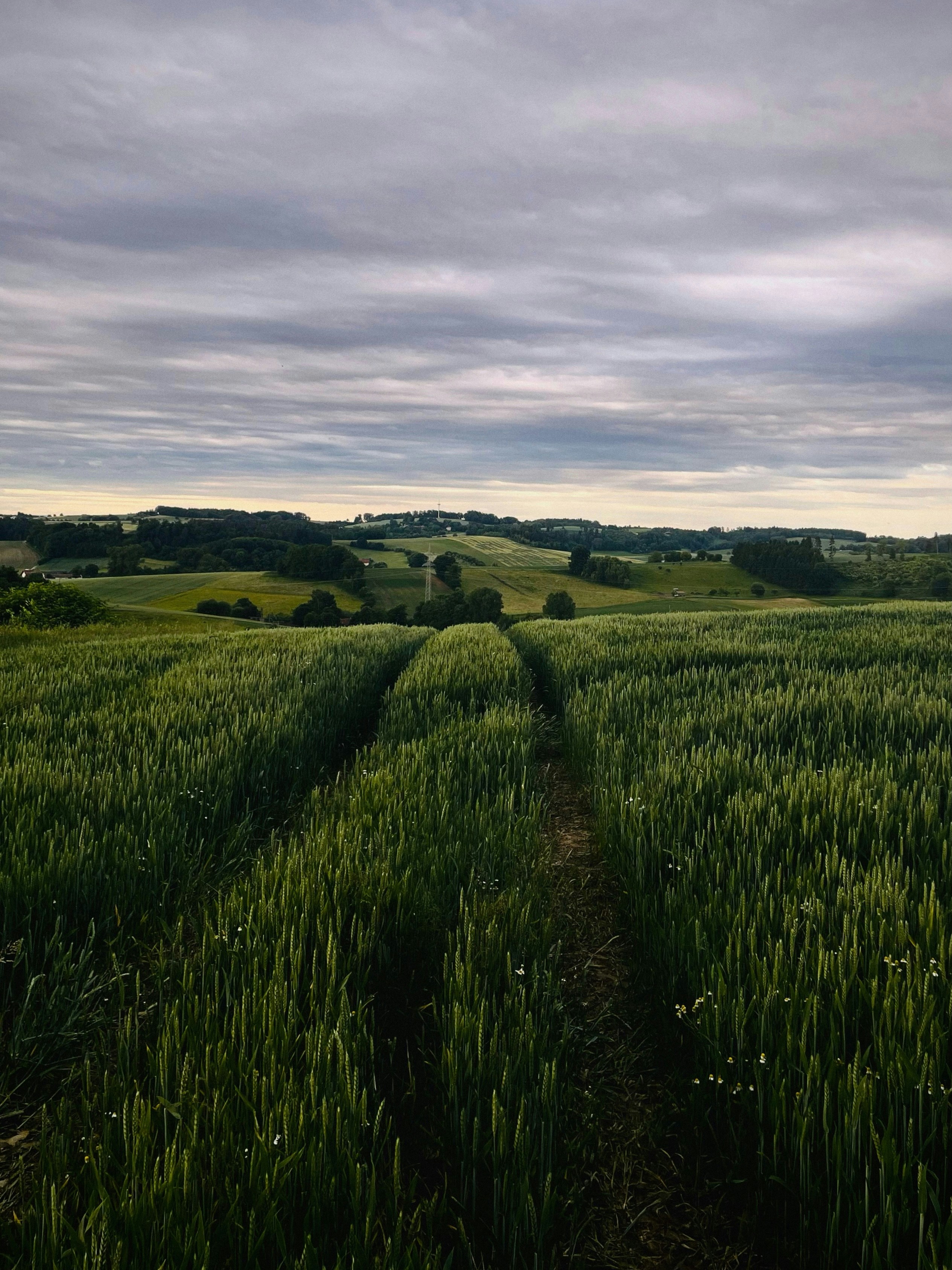 Photo by franziskawe01