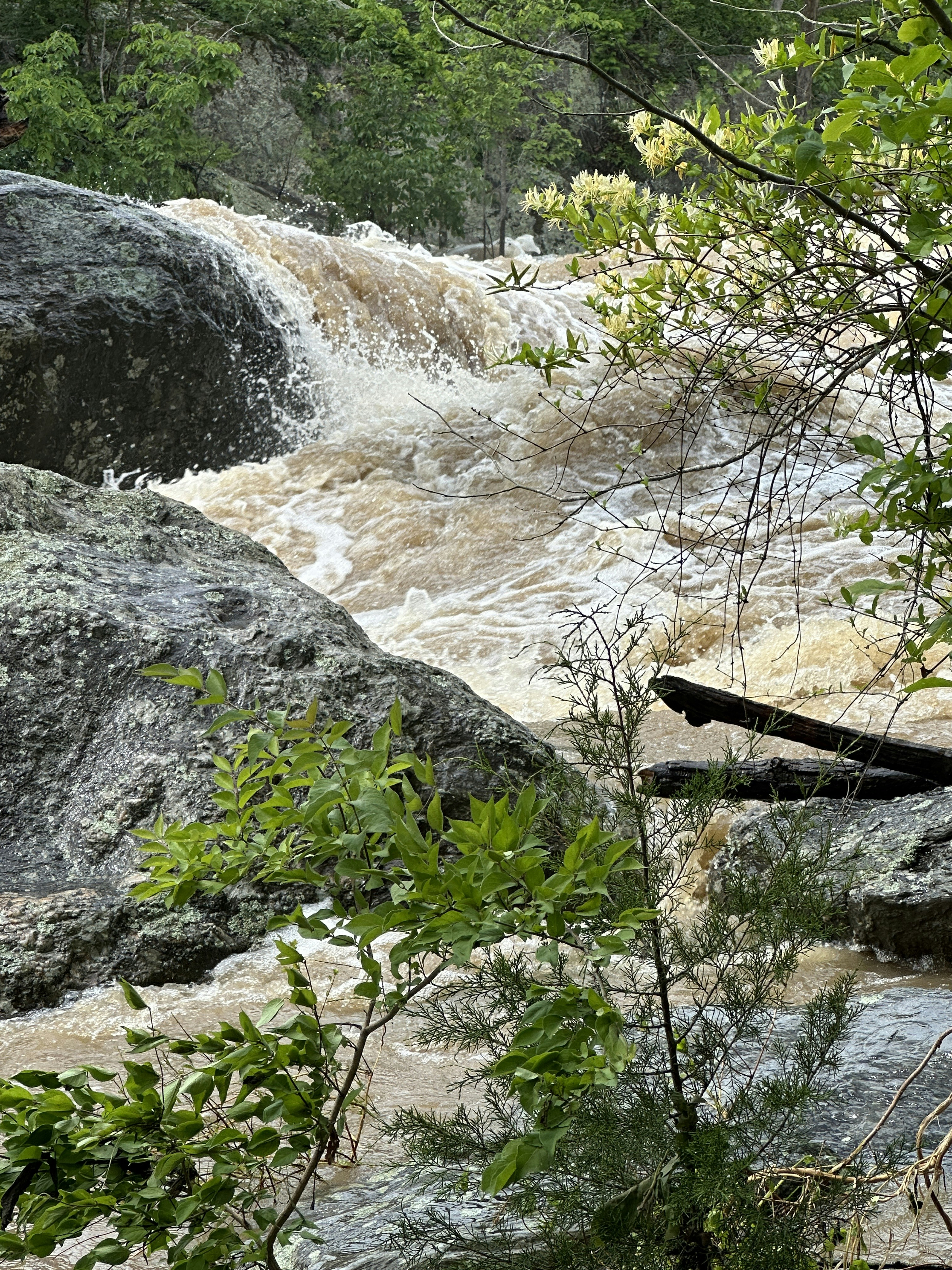 Donnelly River, Western Australia