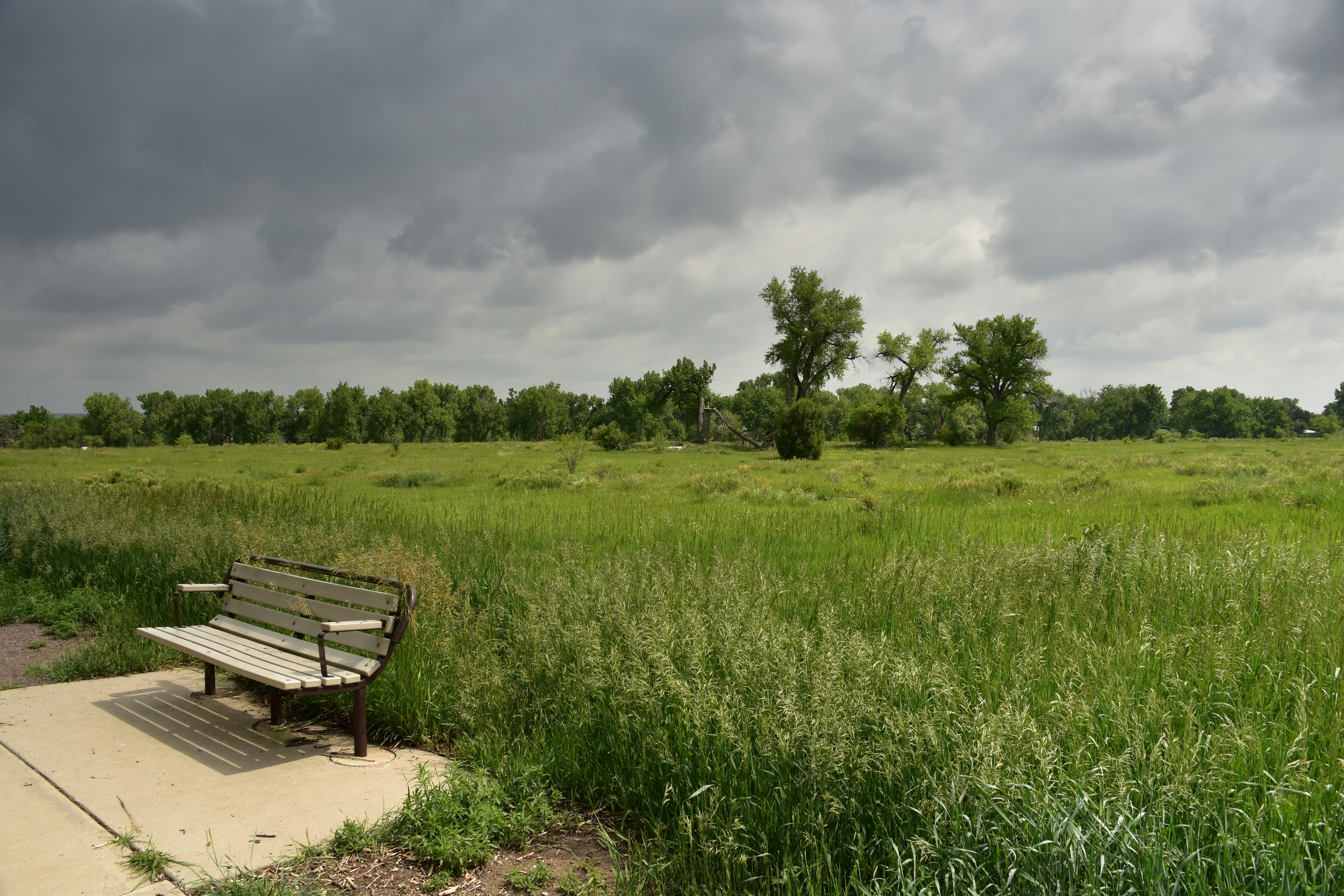 Starkweather Park