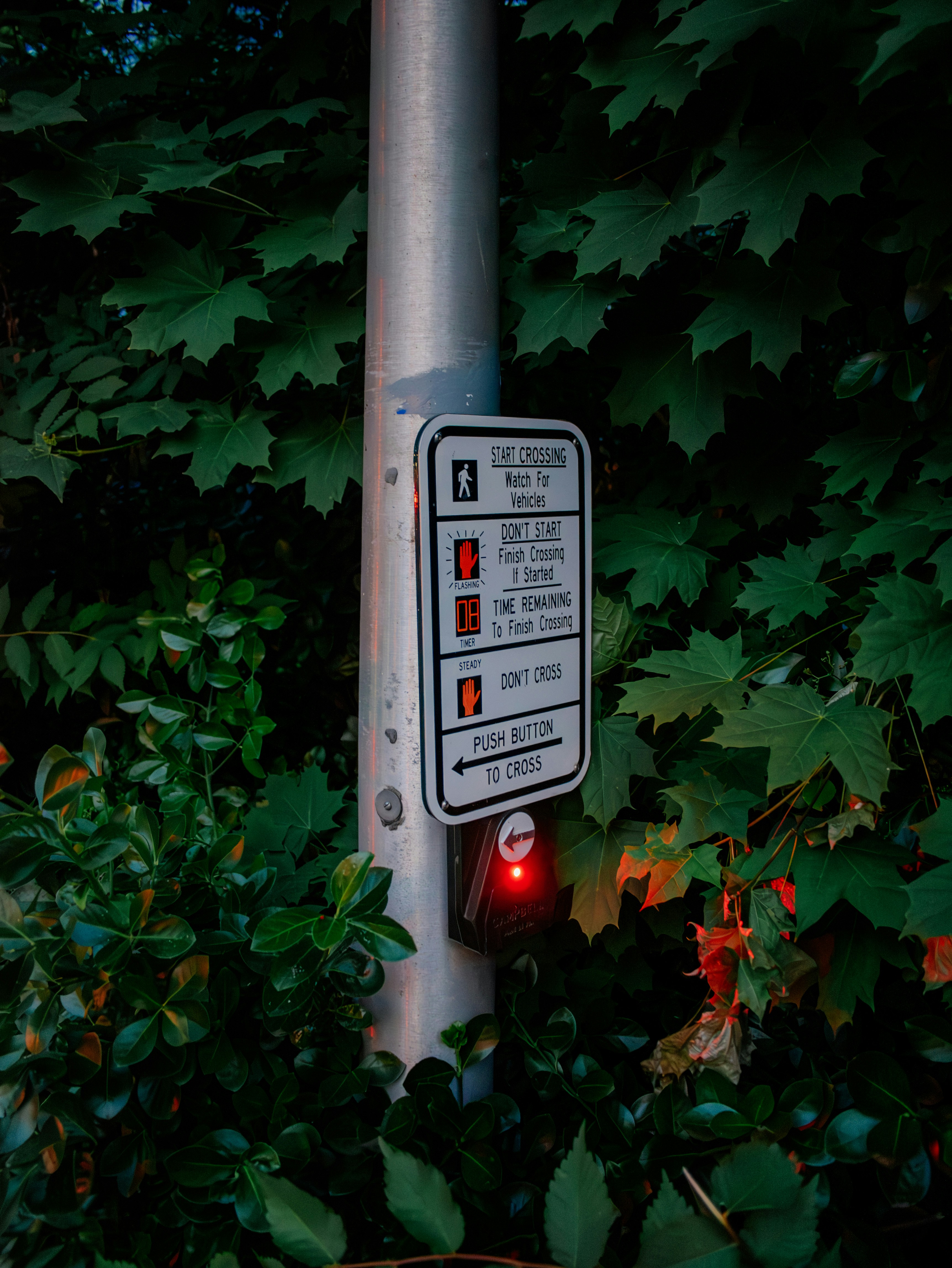 A pedestrian crossing button is surrounded by greenery.
