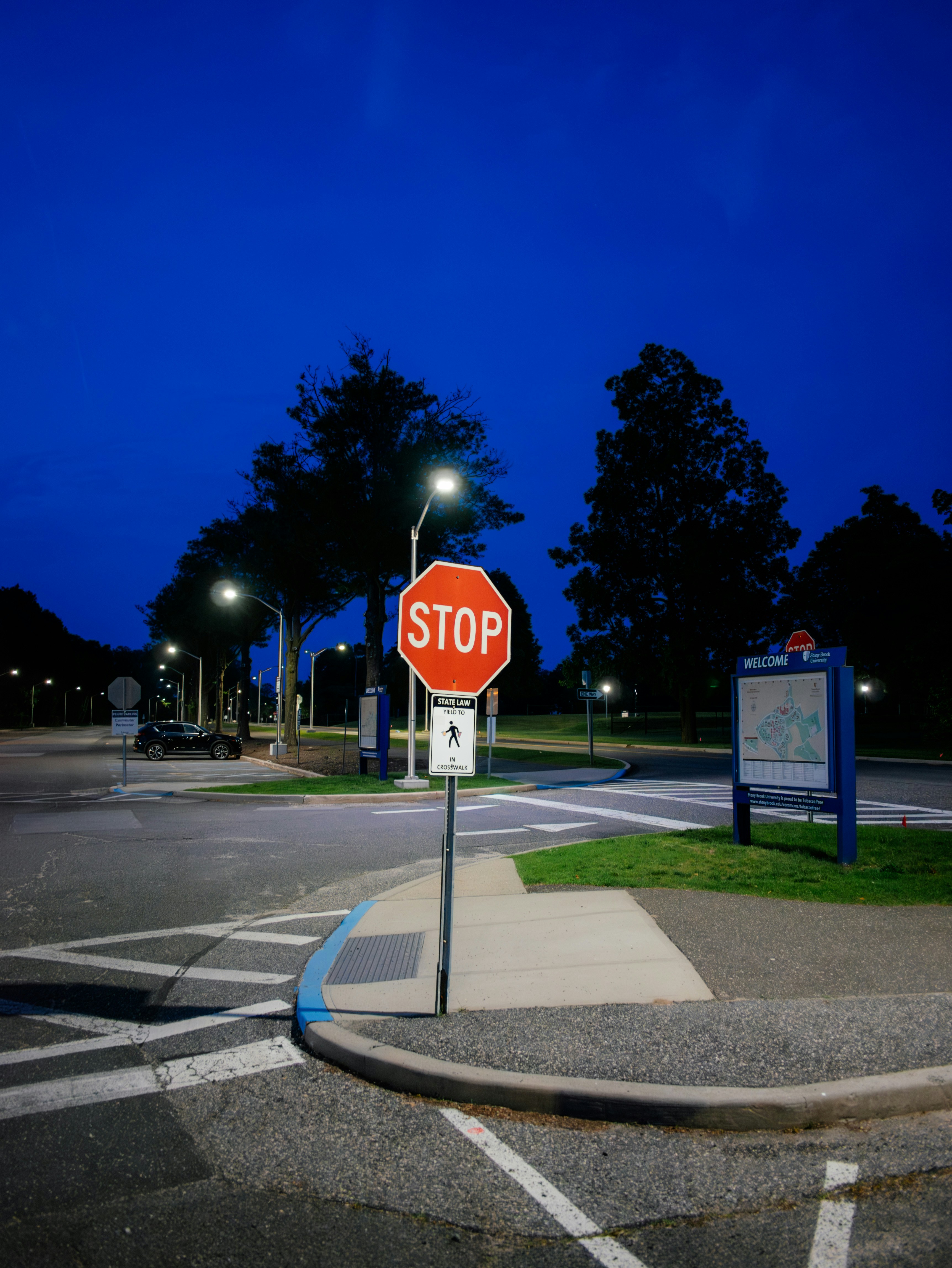 A stop sign illuminated at dusk.