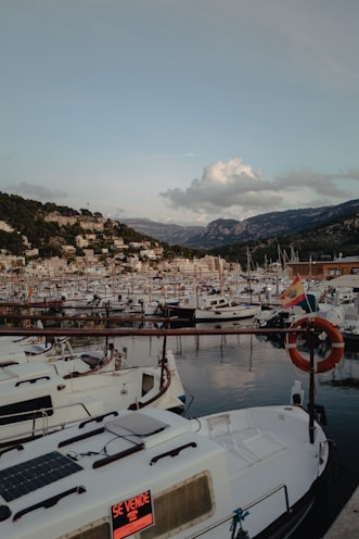 Boats are docked at a harbor near mountains.