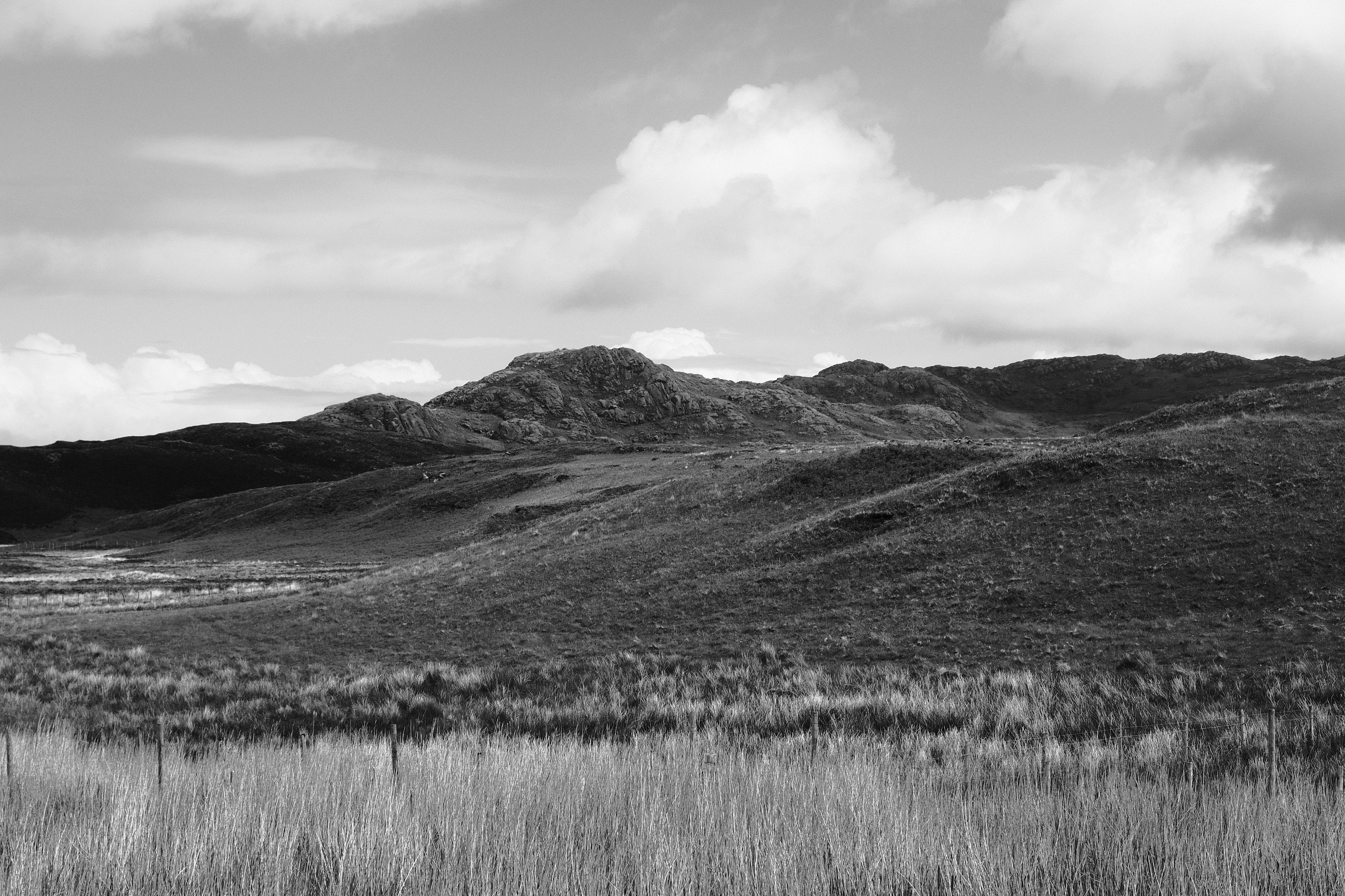 Photo by daniellss007