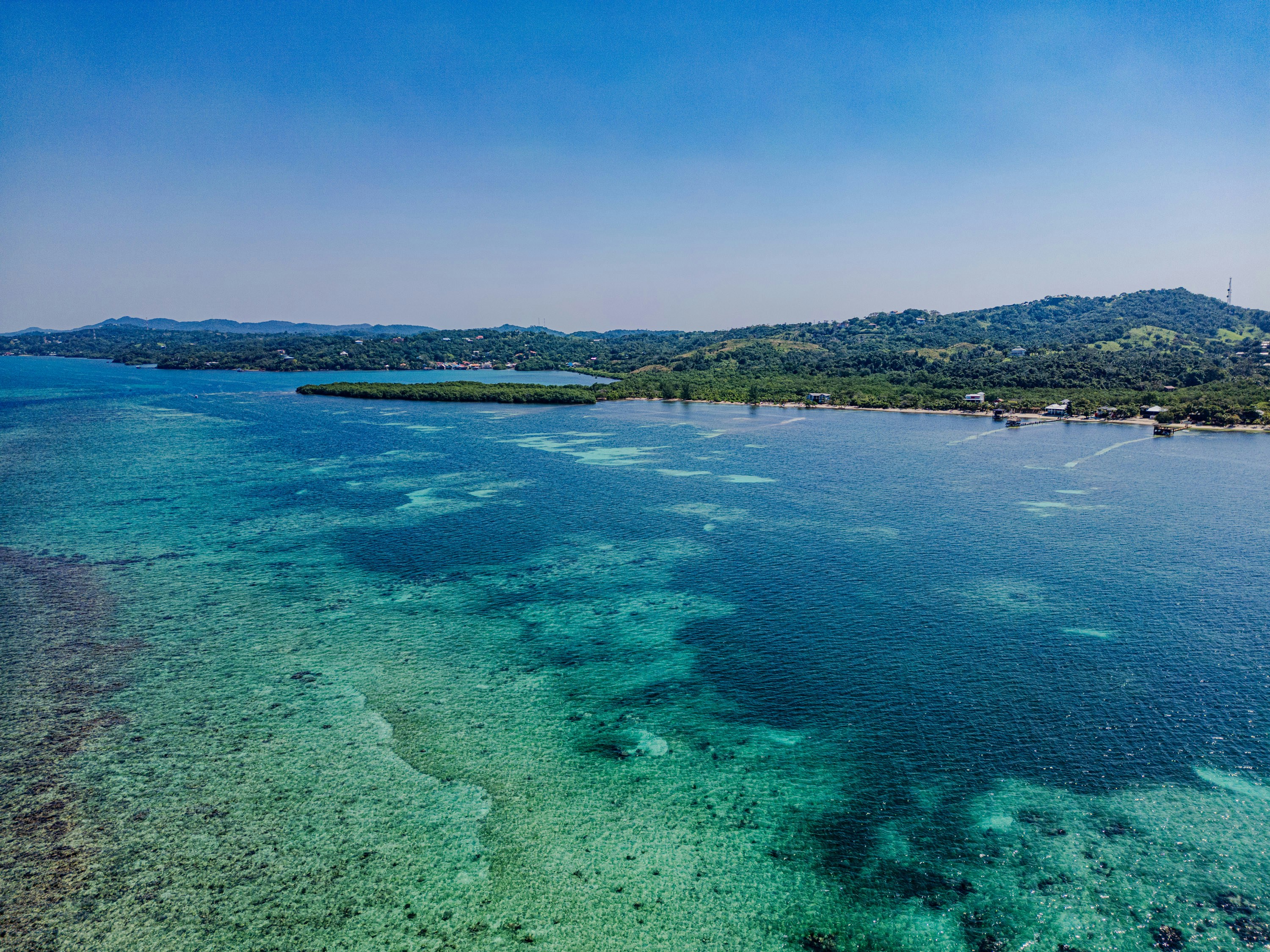 Photo by manuelchinchilla