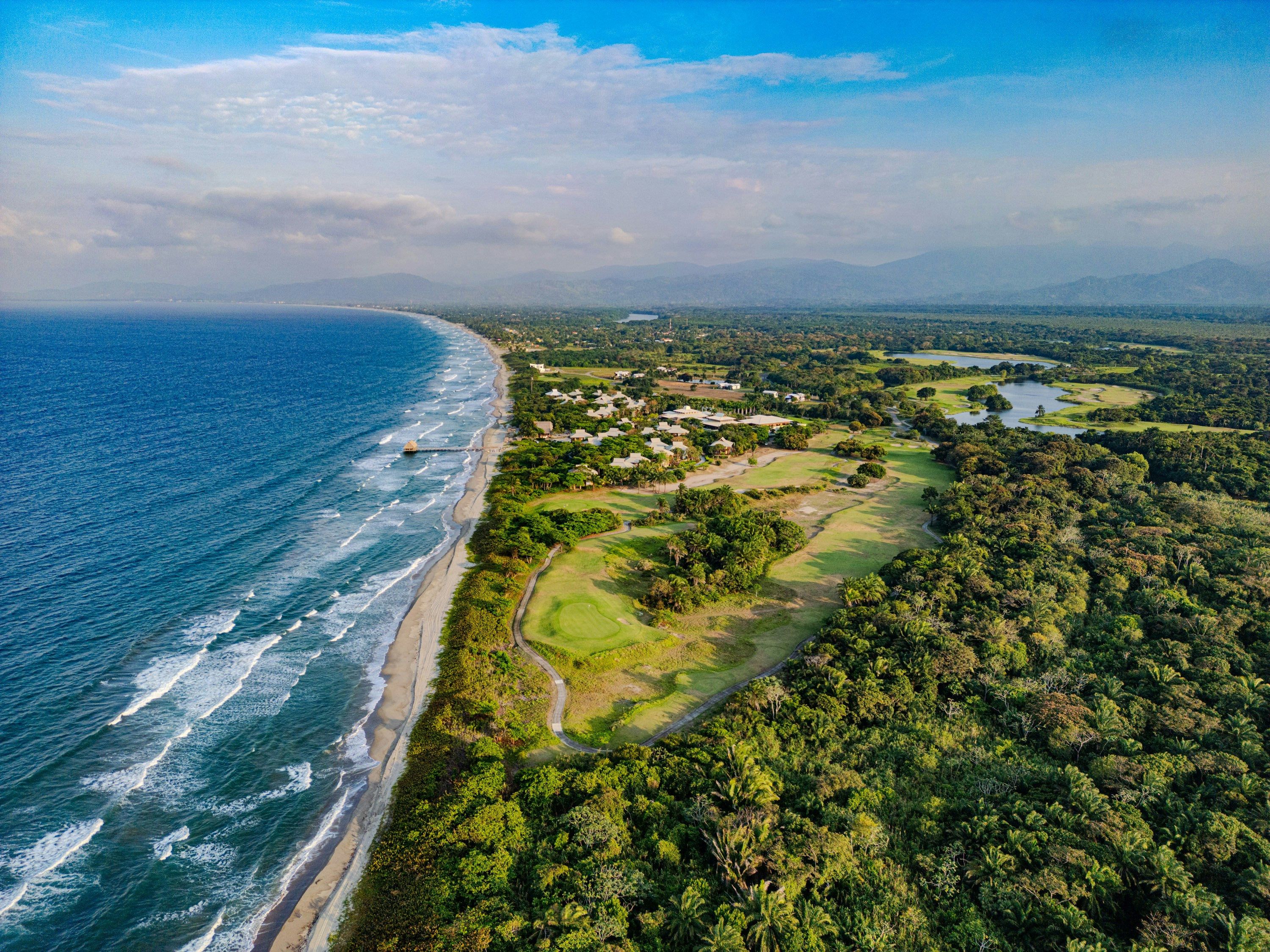 A coastal landscape with beach, trees, and ocean.