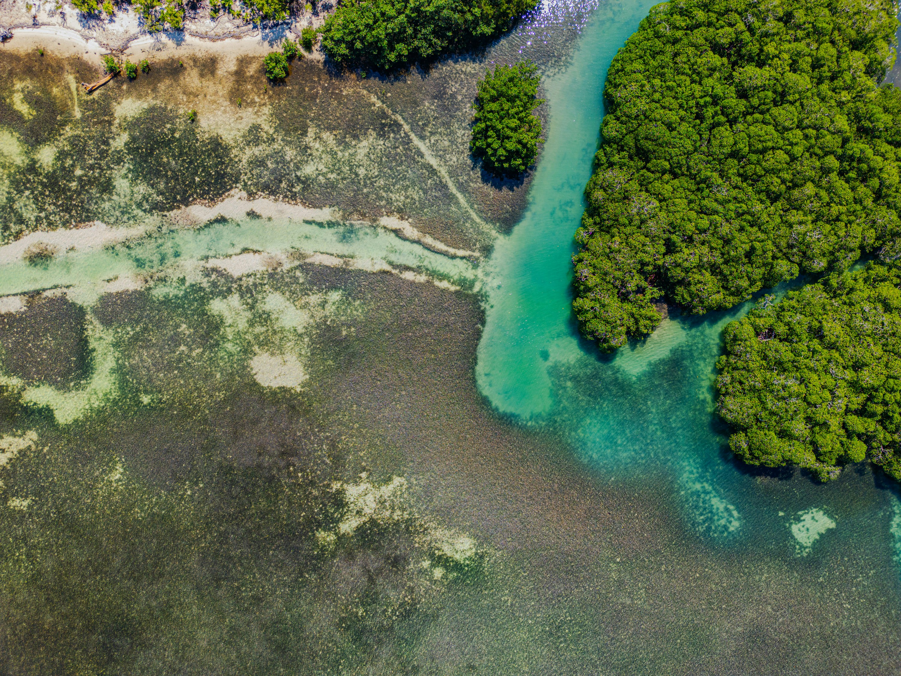 Photo by manuelchinchilla