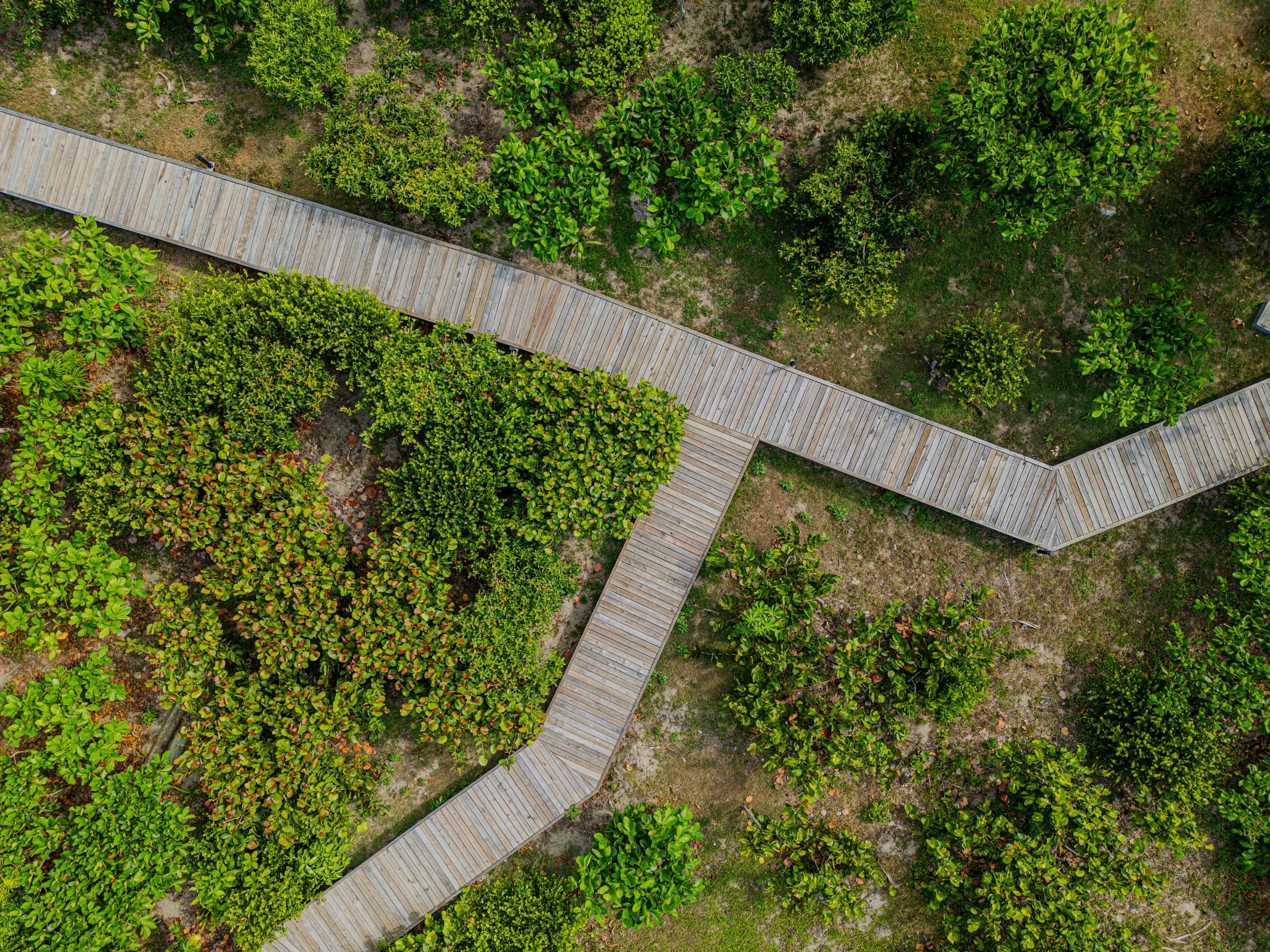 Photo by manuelchinchilla