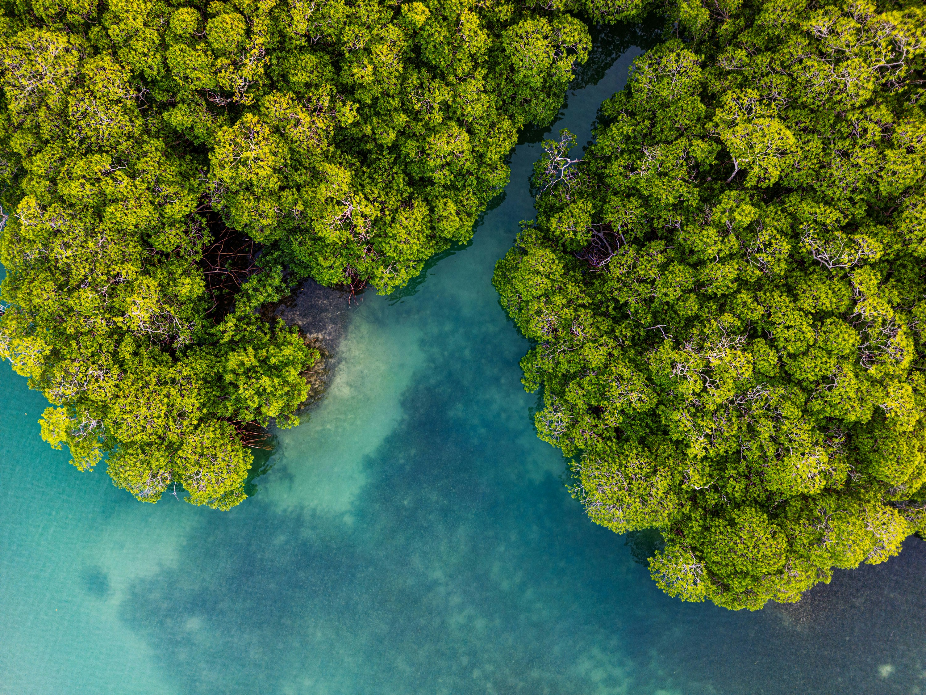 Photo by manuelchinchilla