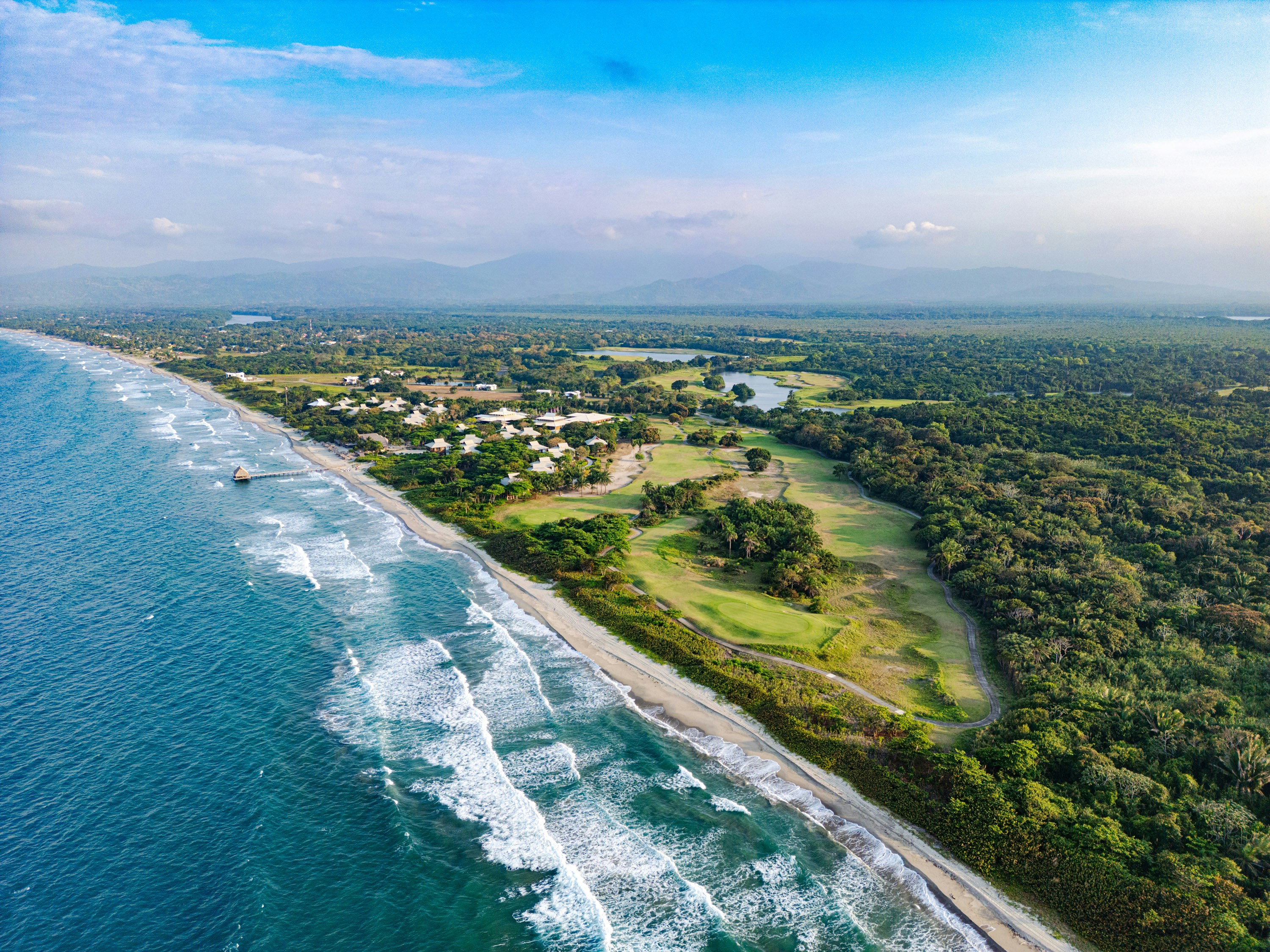 Aerial view of ocean, beach, and forest.