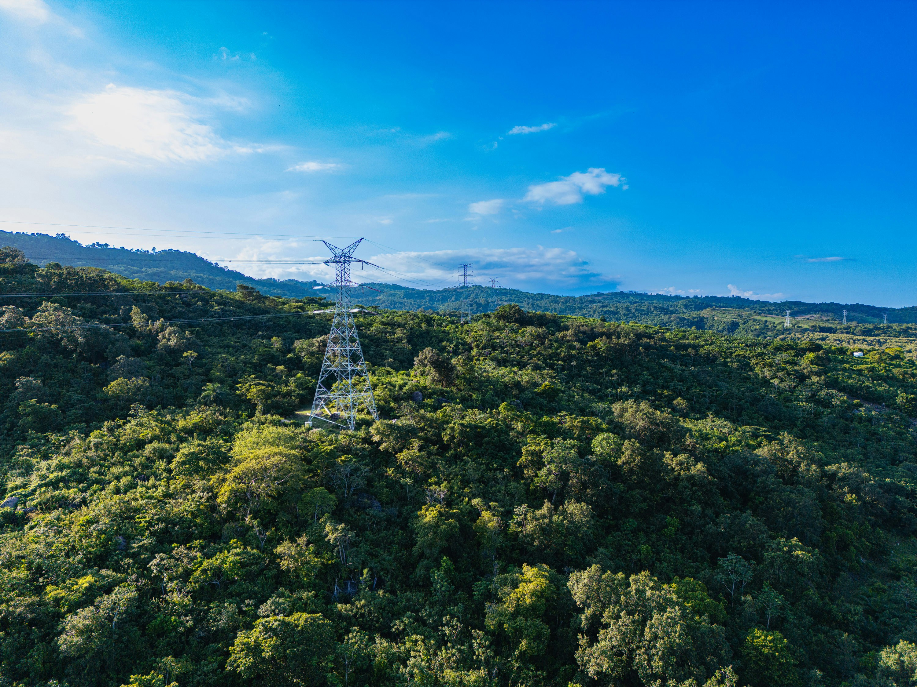 Power lines stand atop a lush, green hillside.