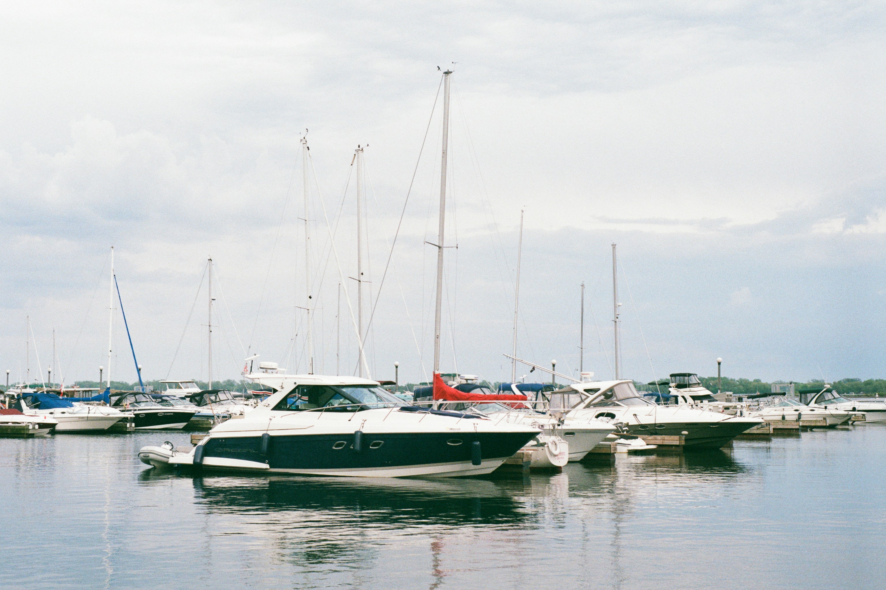 Photo by farnaz________