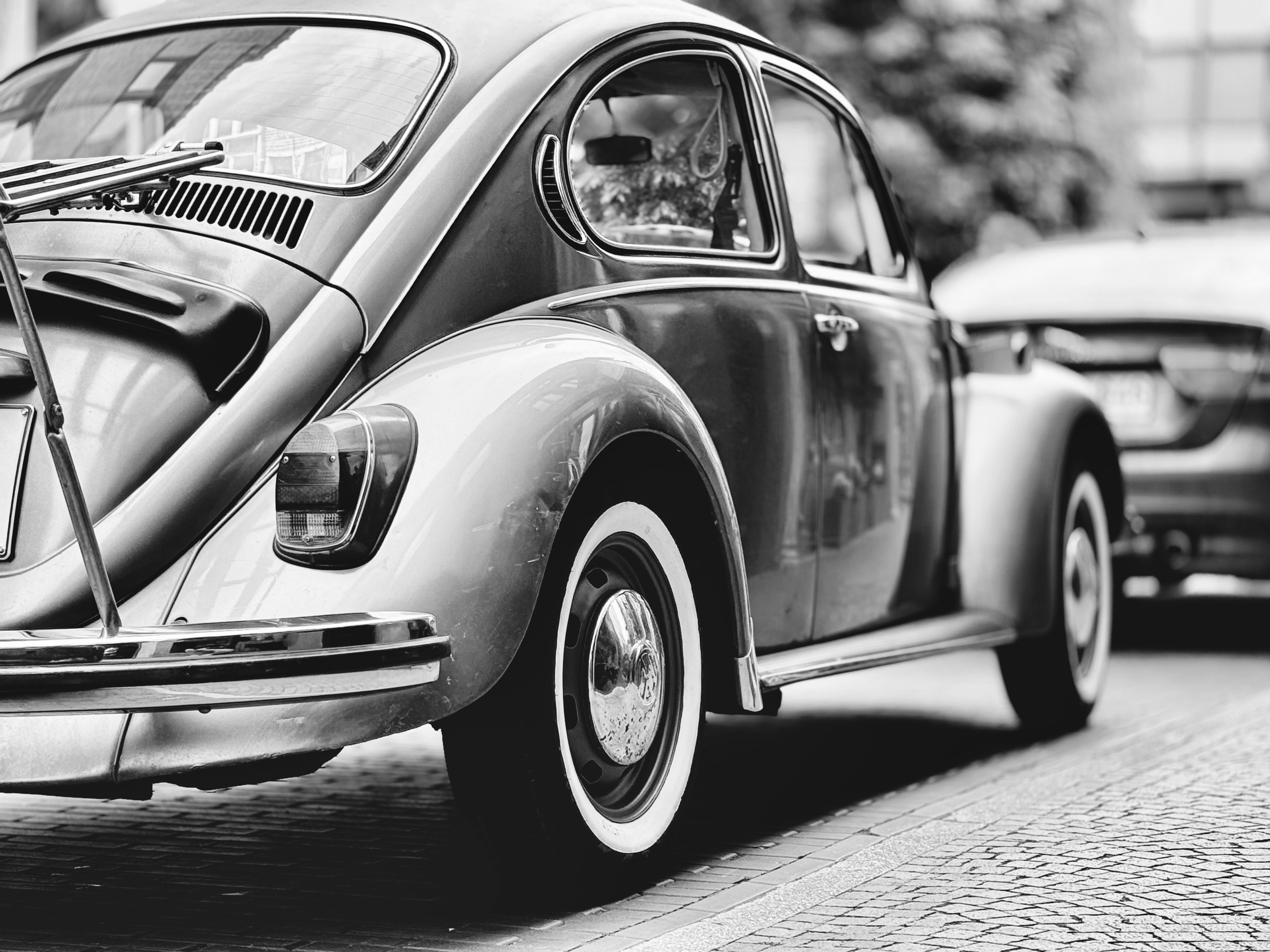 Photo by stvicstudio