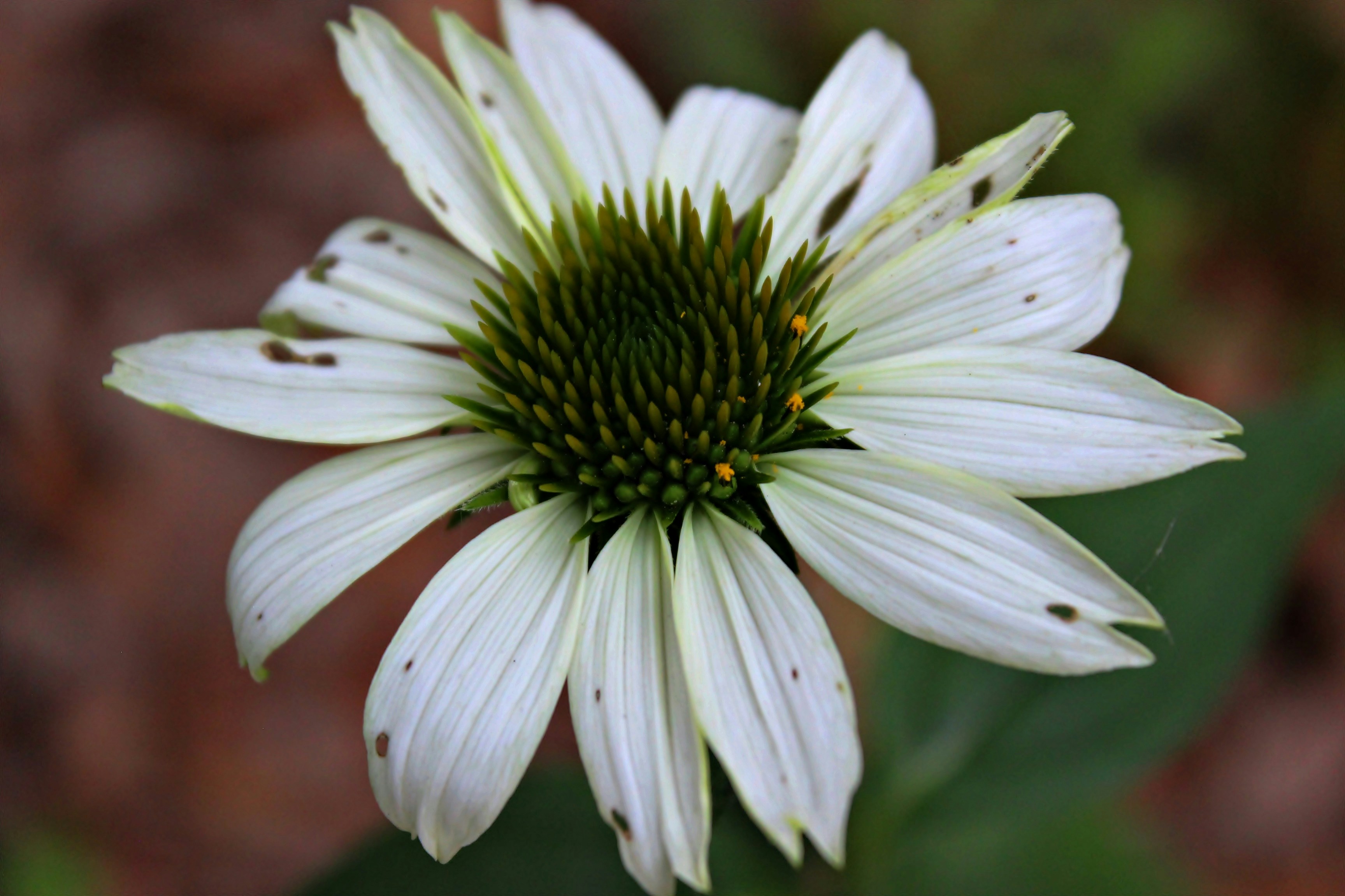 Photo by viewsofthecamera