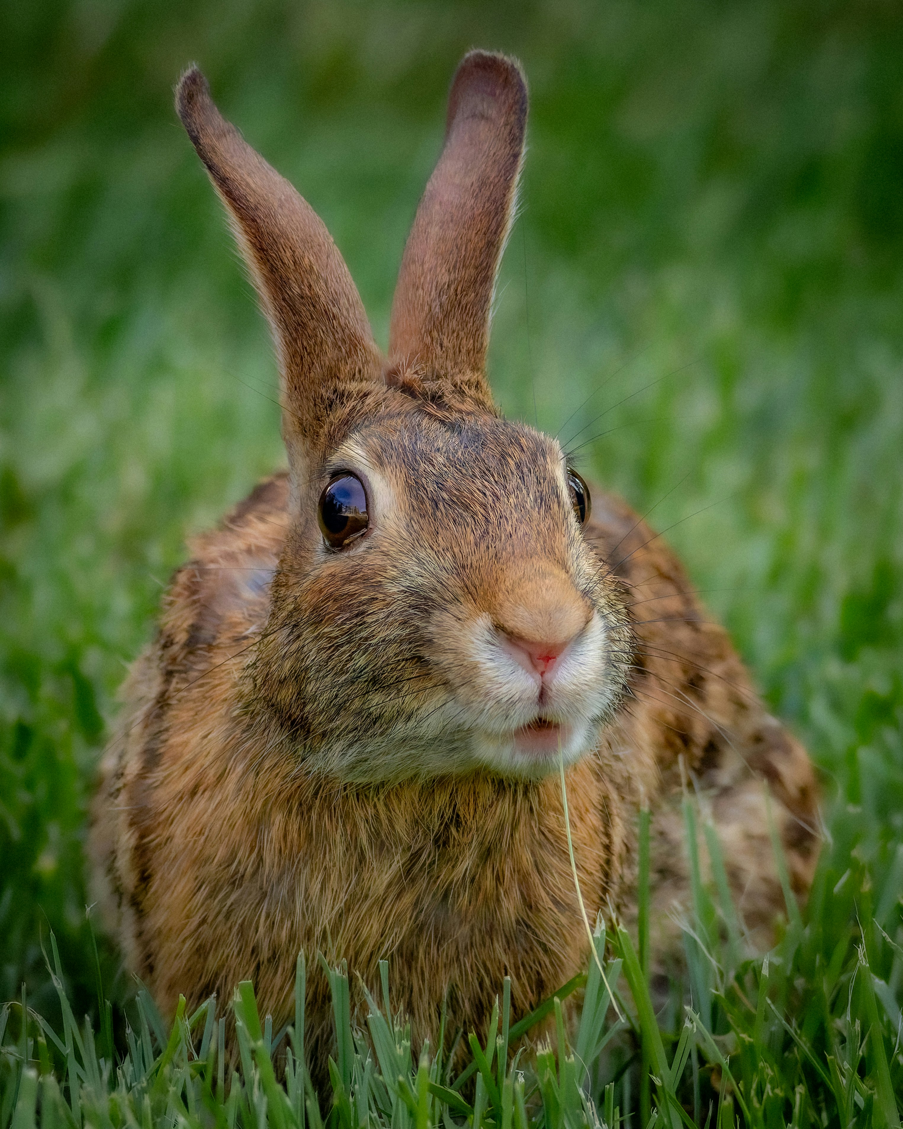 Photo by peterbbryan