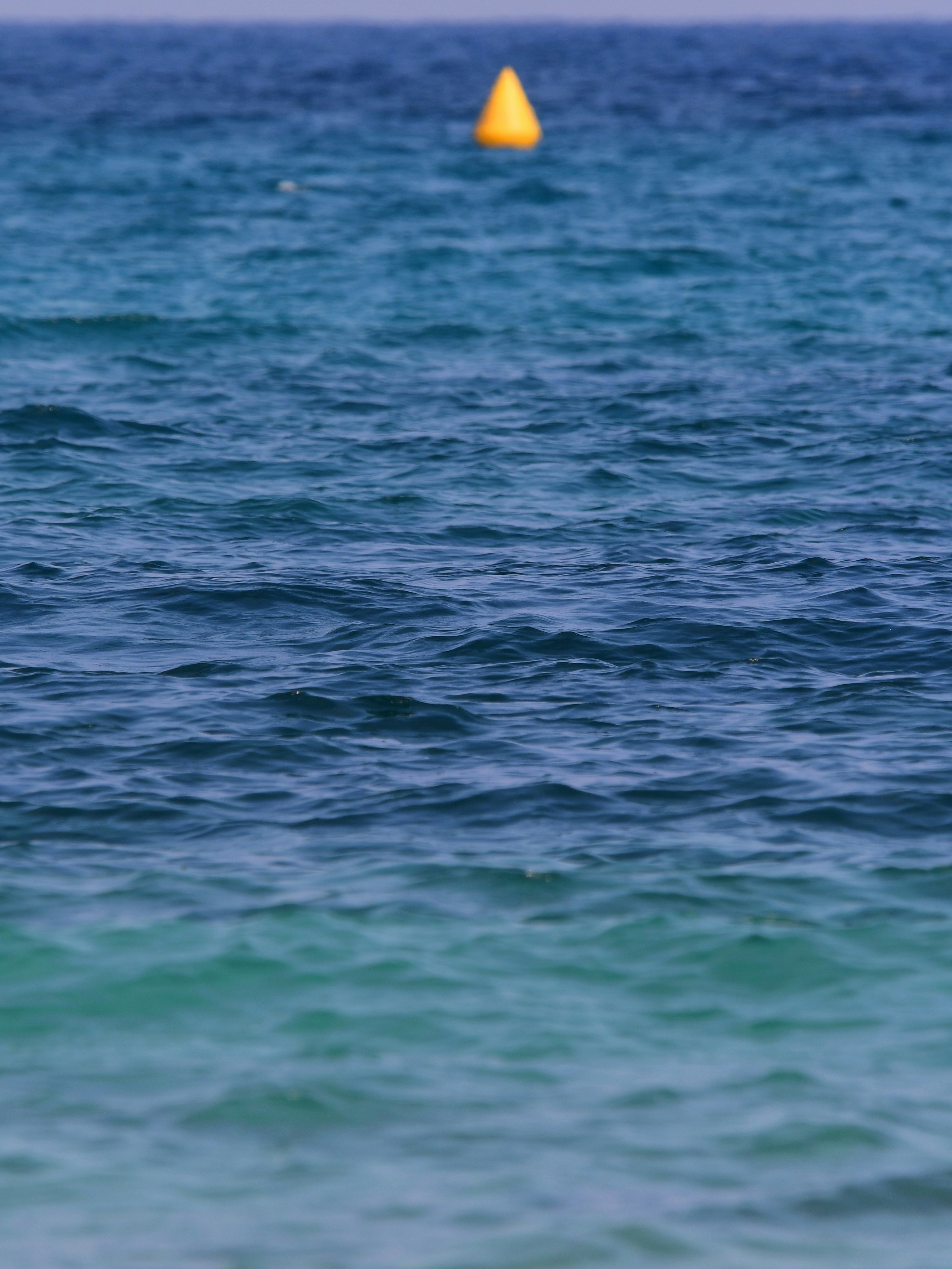 Photo by pedrino5_official