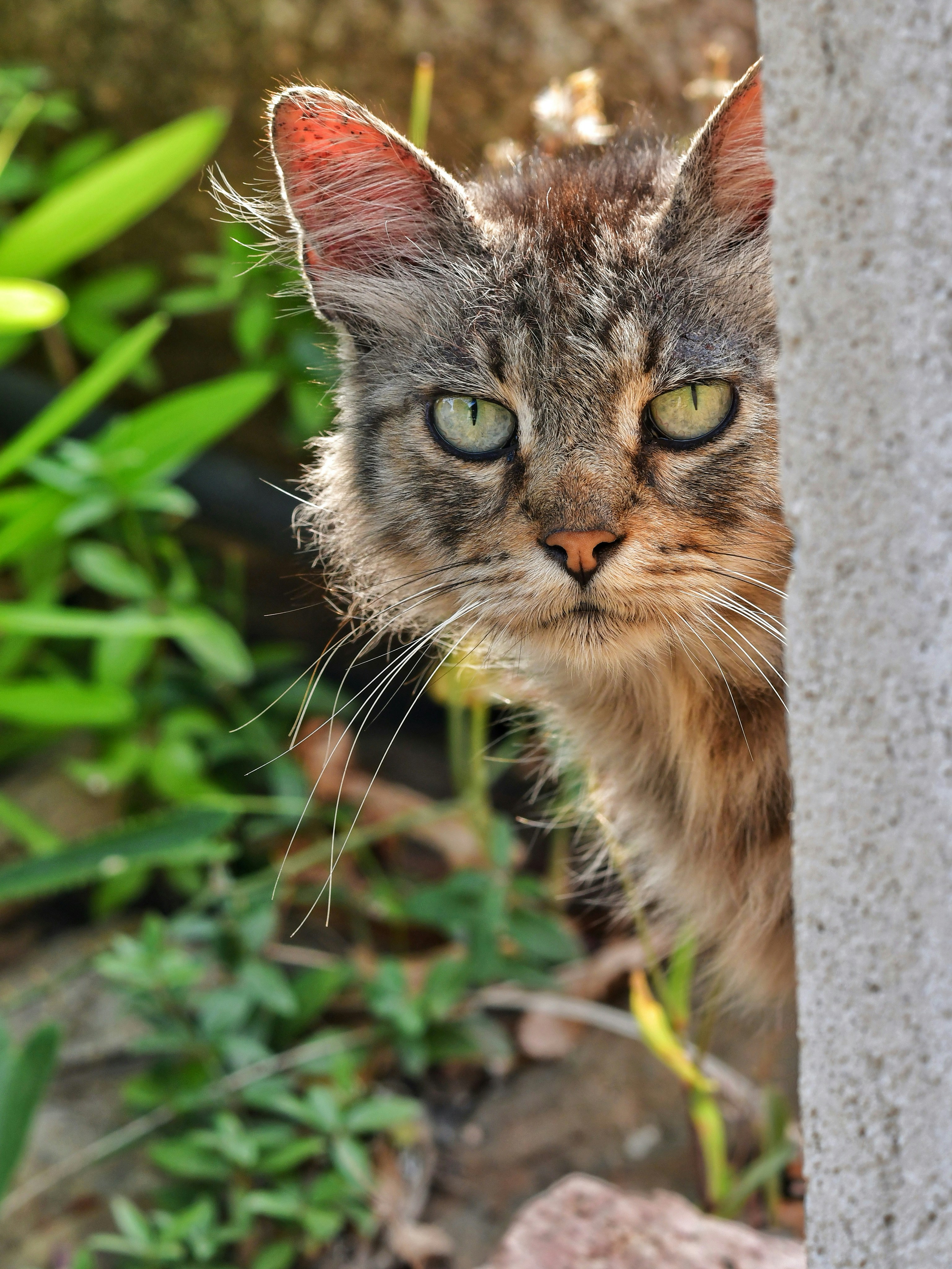 Photo by pedrino5_official