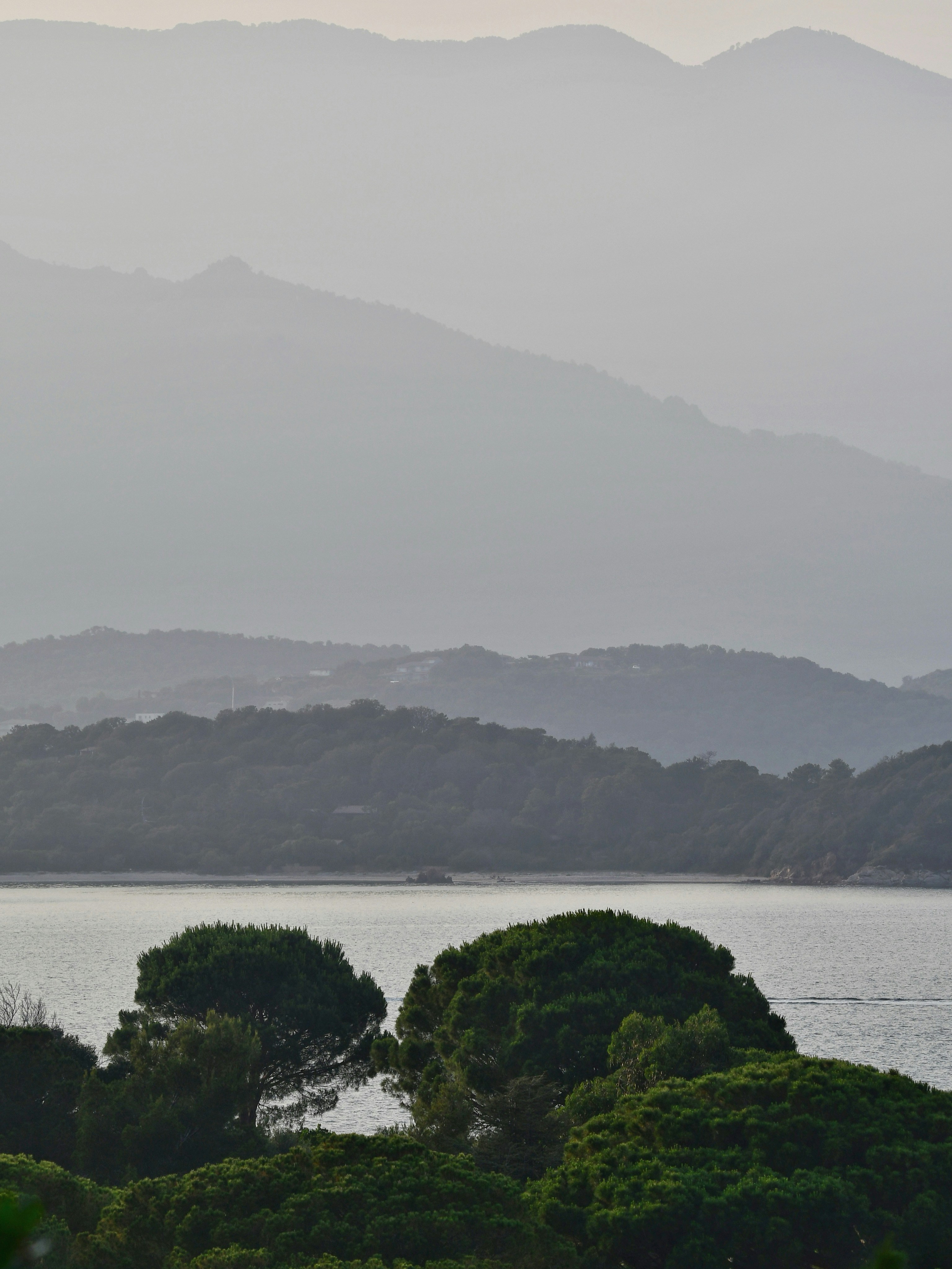 Photo by pedrino5_official